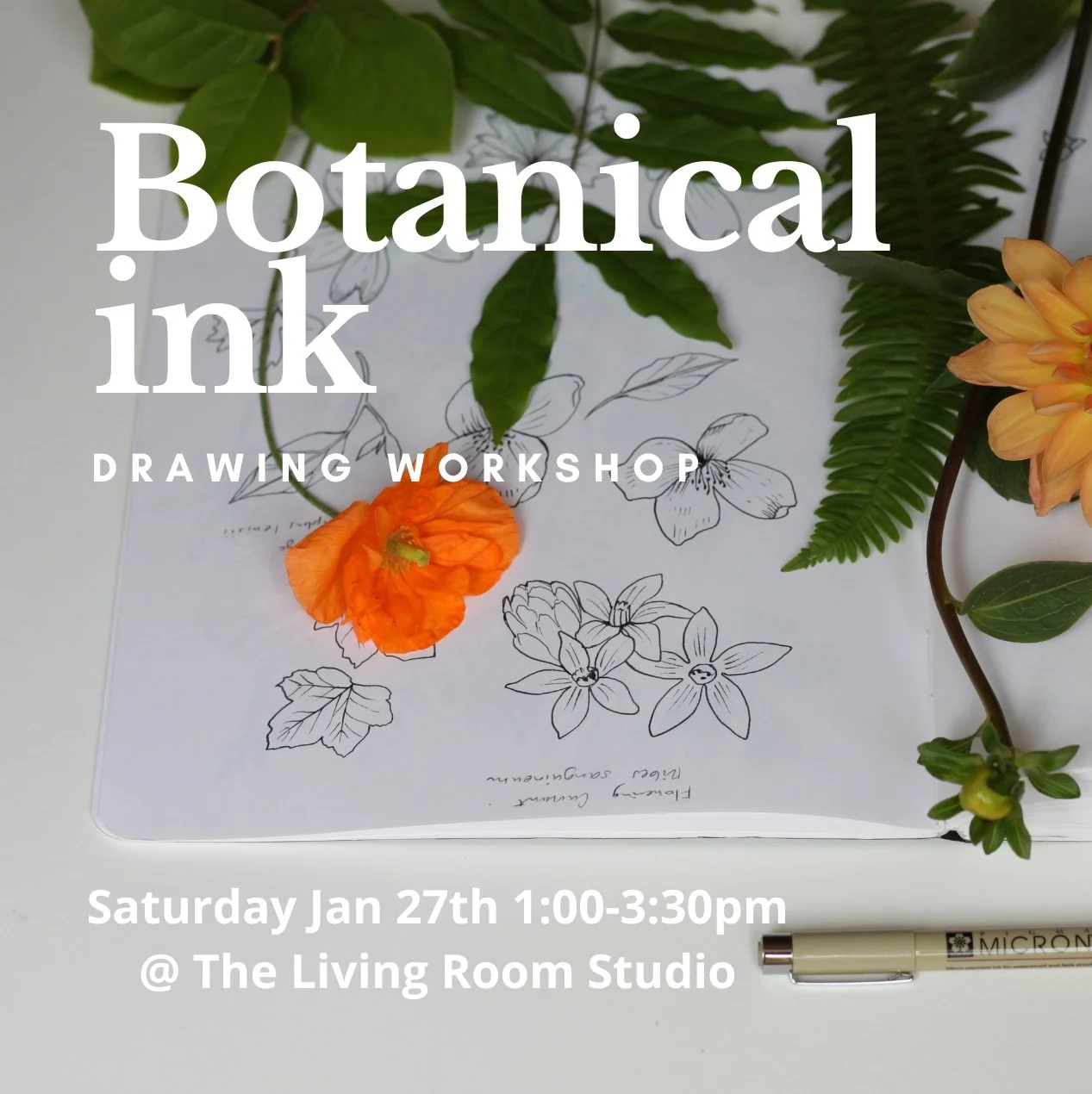 Intro to Botanical Ink Drawing Jan 27th