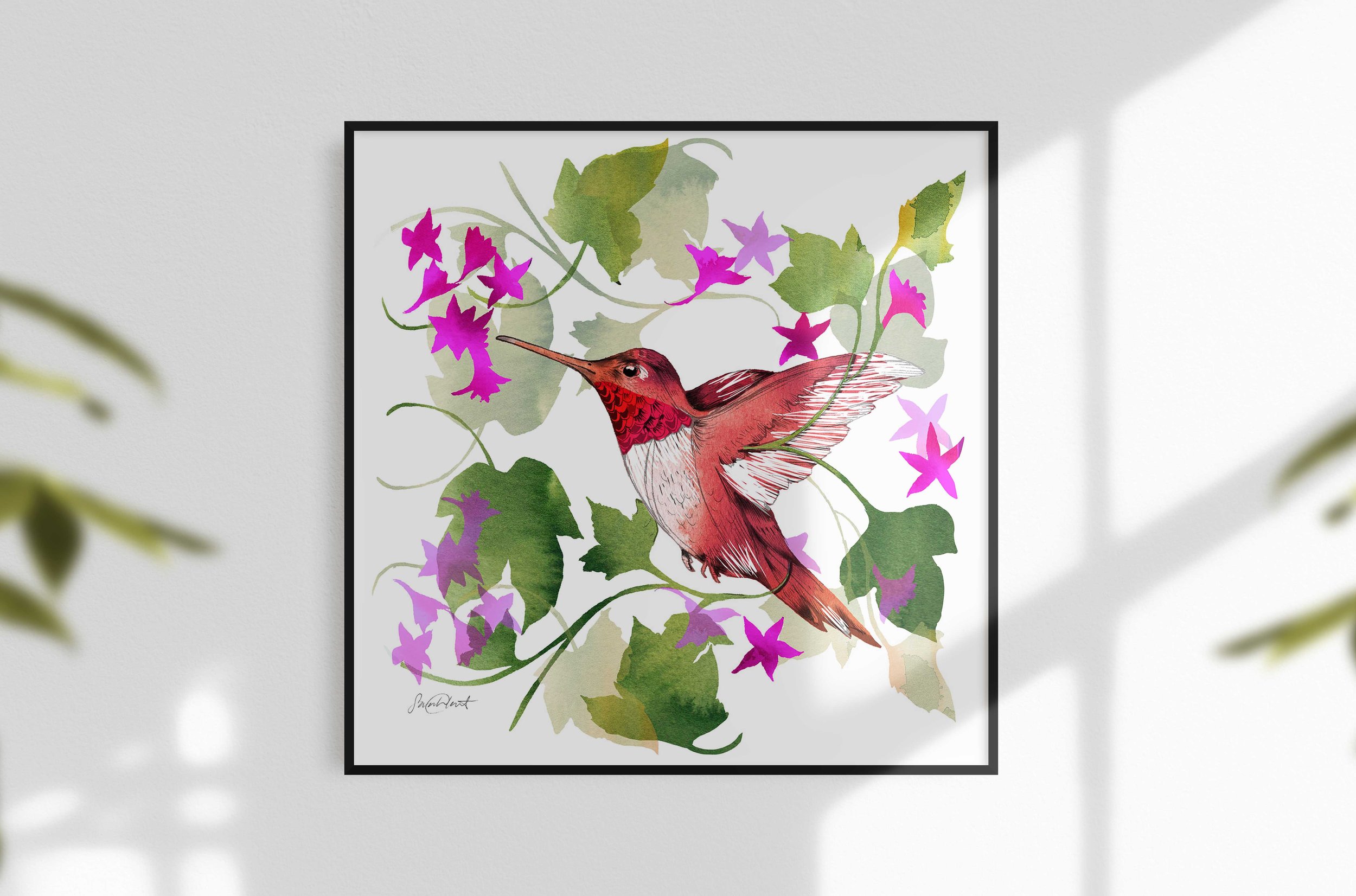 Hummingbird_print_9x9_web.jpg