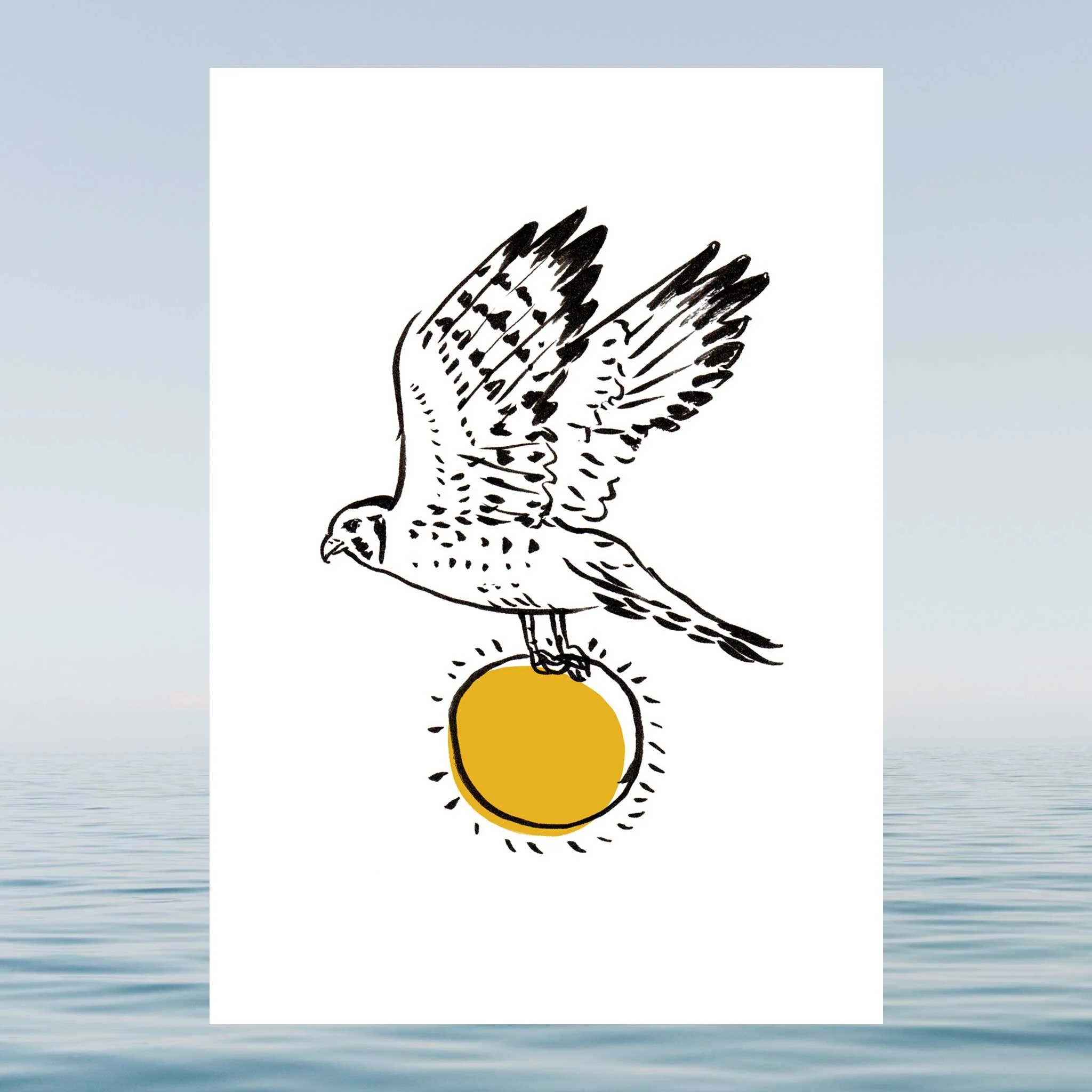 hawk-sun-card-2022-website.jpg