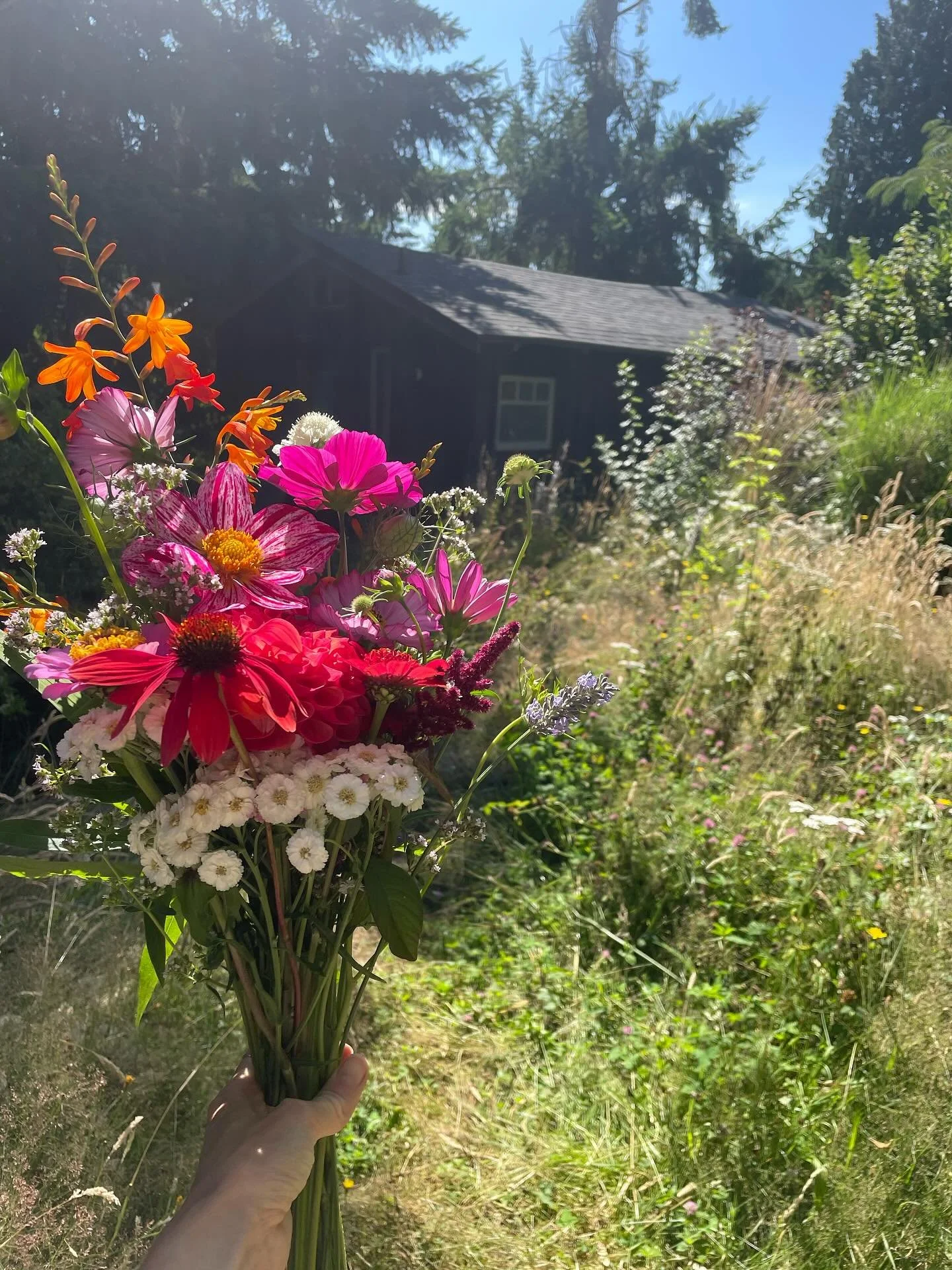 I loved this home and feel like it loved me back. For 5 years, it was a soft space to land, a warm place to welcome friends, a place where even from the inside, I was always tethered to the living, breathing world outside. 
The way that house held t