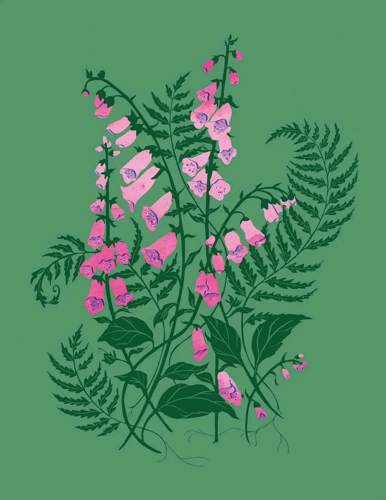 foxgloves-card-photo-1-web-2.jpg