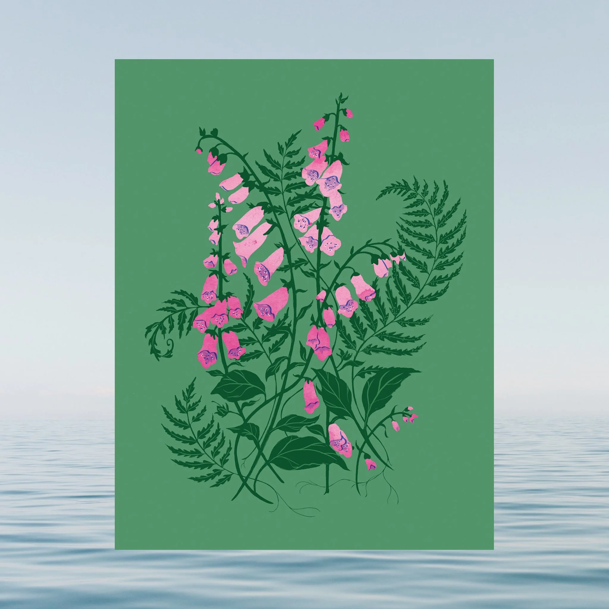 foxgloves-card-photo-1-web-1.jpg