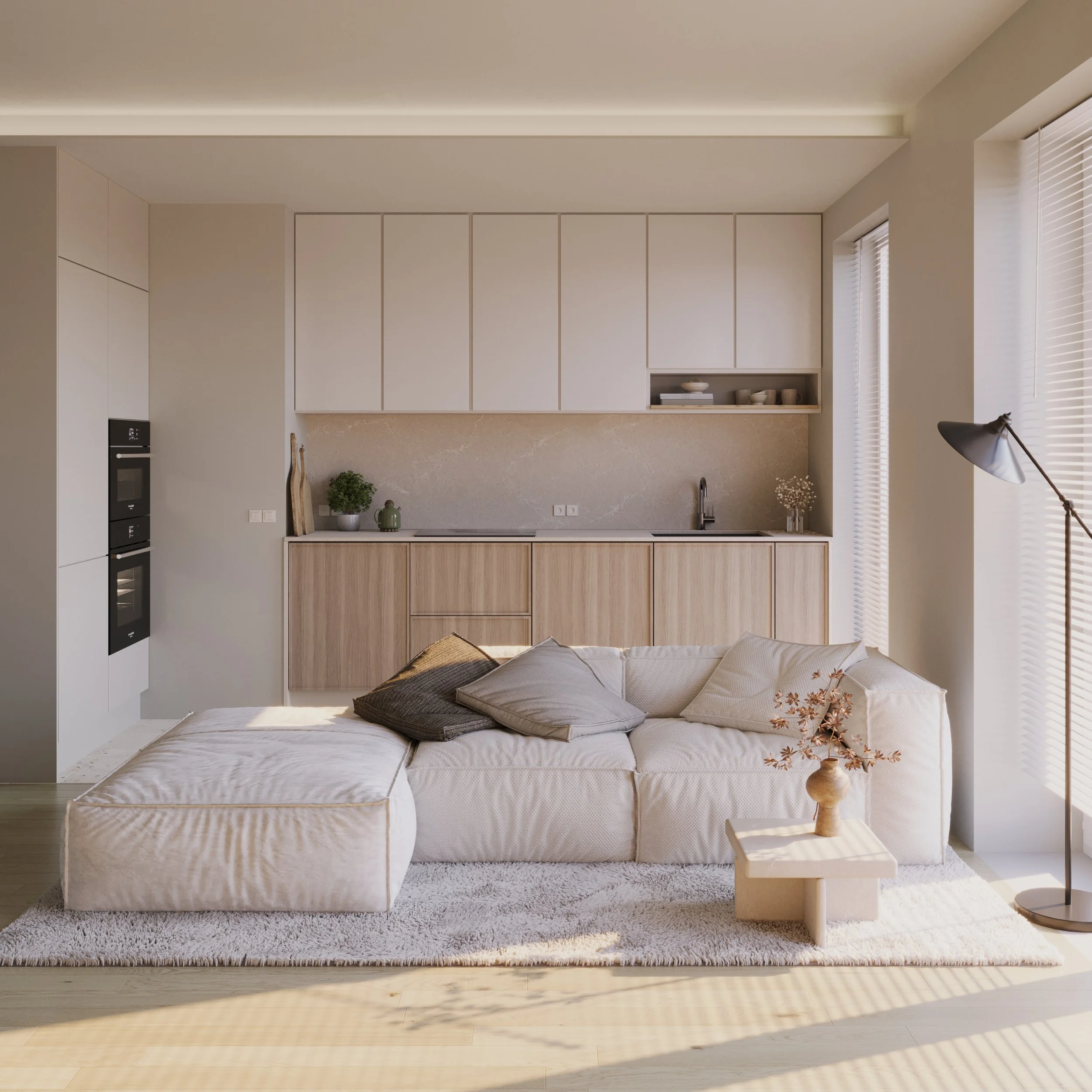 3026_Small_Apartment_Lithuania (1).jpg