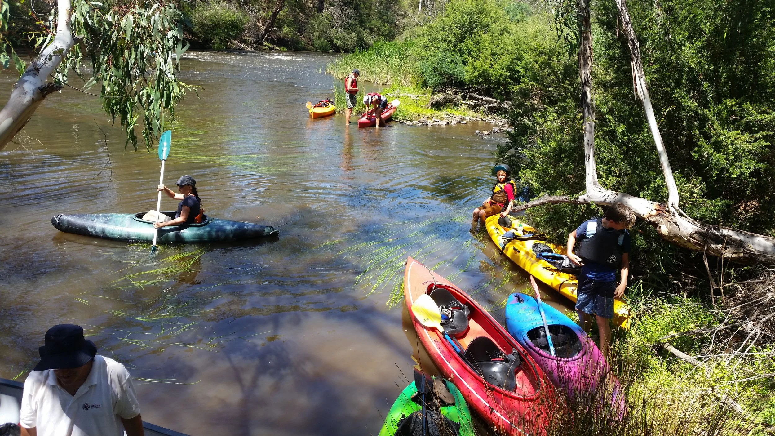 People kayaking on a river surrounded by green trees on a sunny day.
