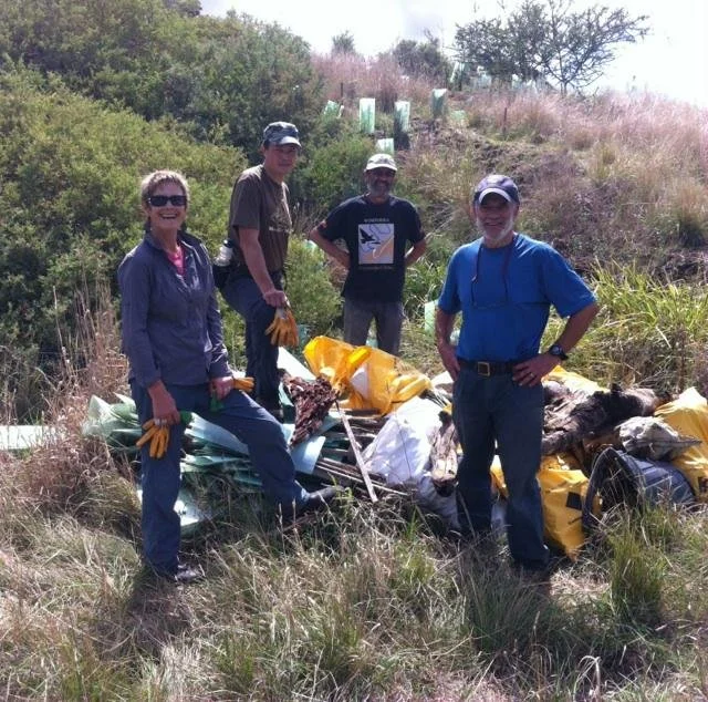 Four people cleaning up trash in a grassy outdoor area, surrounded by shrubs and trees, holding trash bags and wearing gloves.