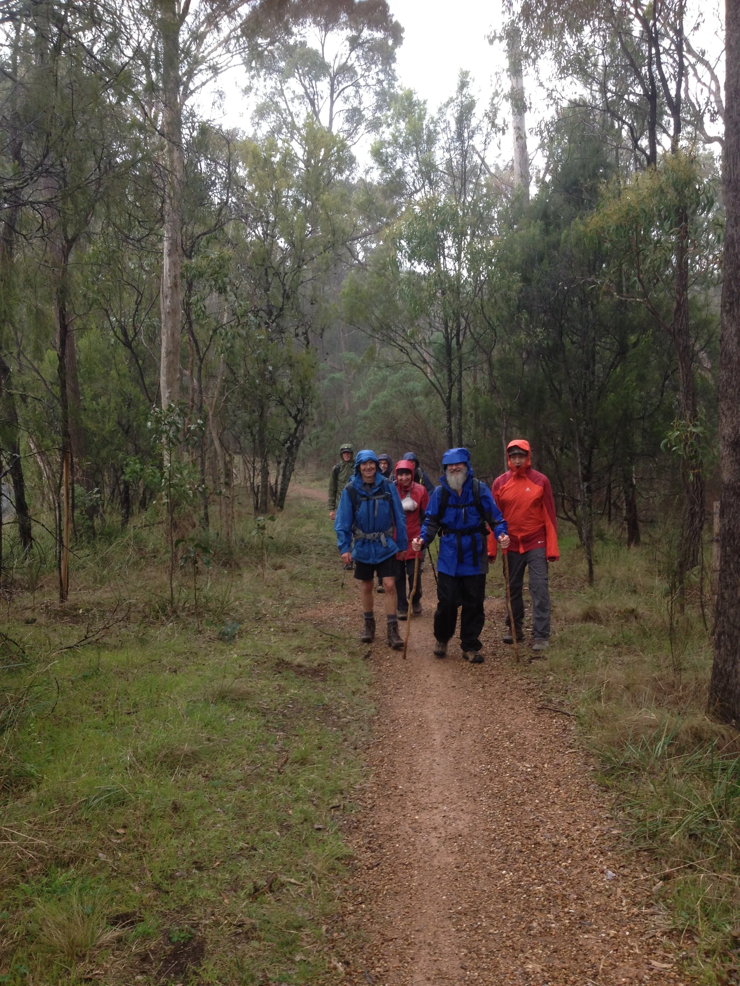 Group of hikers walking on a dirt trail through a forest with tall trees, wearing rain jackets and carrying walking sticks.
