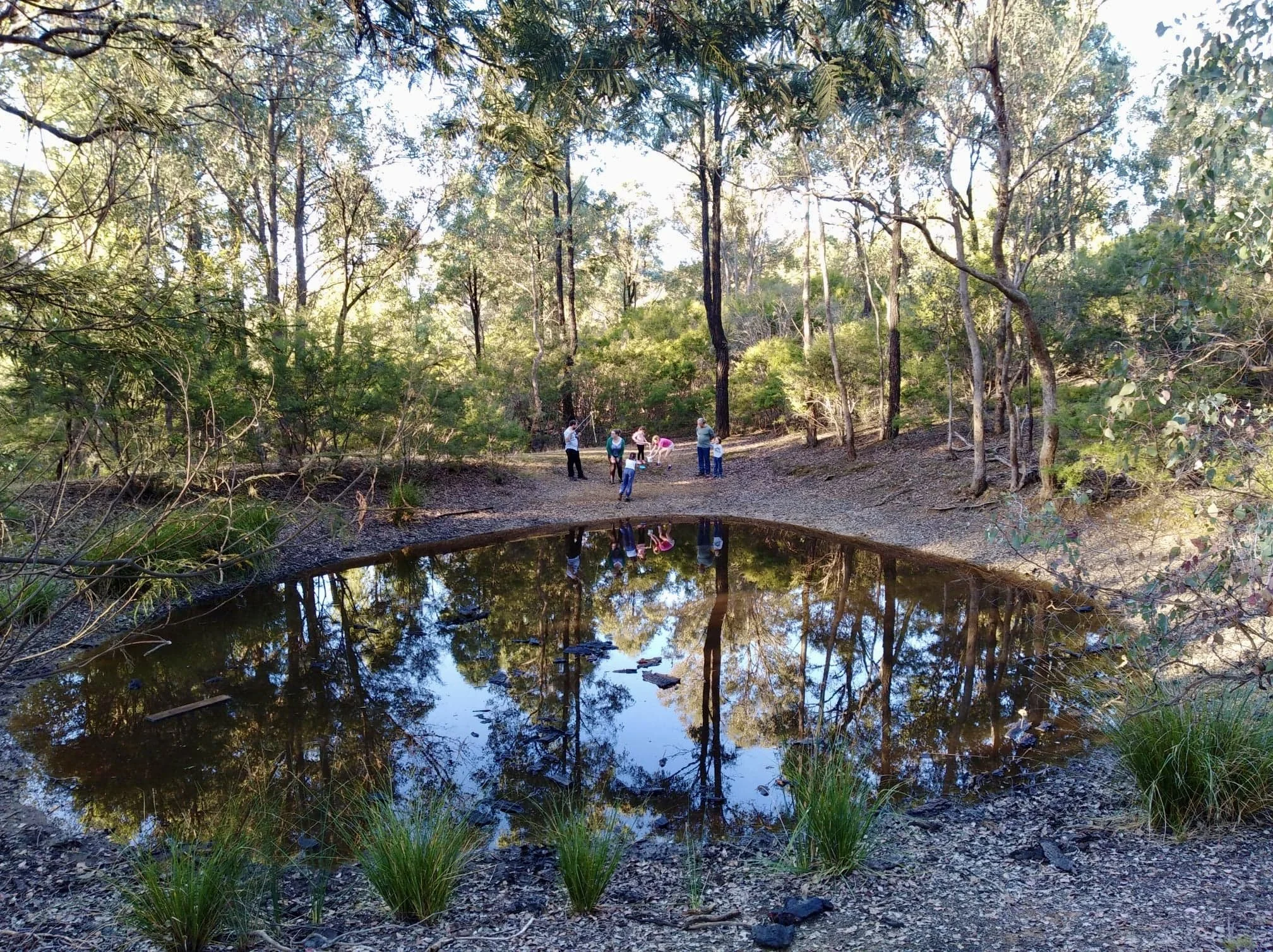A group of people, including children, standing and sitting near a small, reflective pond in a wooded area with tall trees and sunlight filtering through