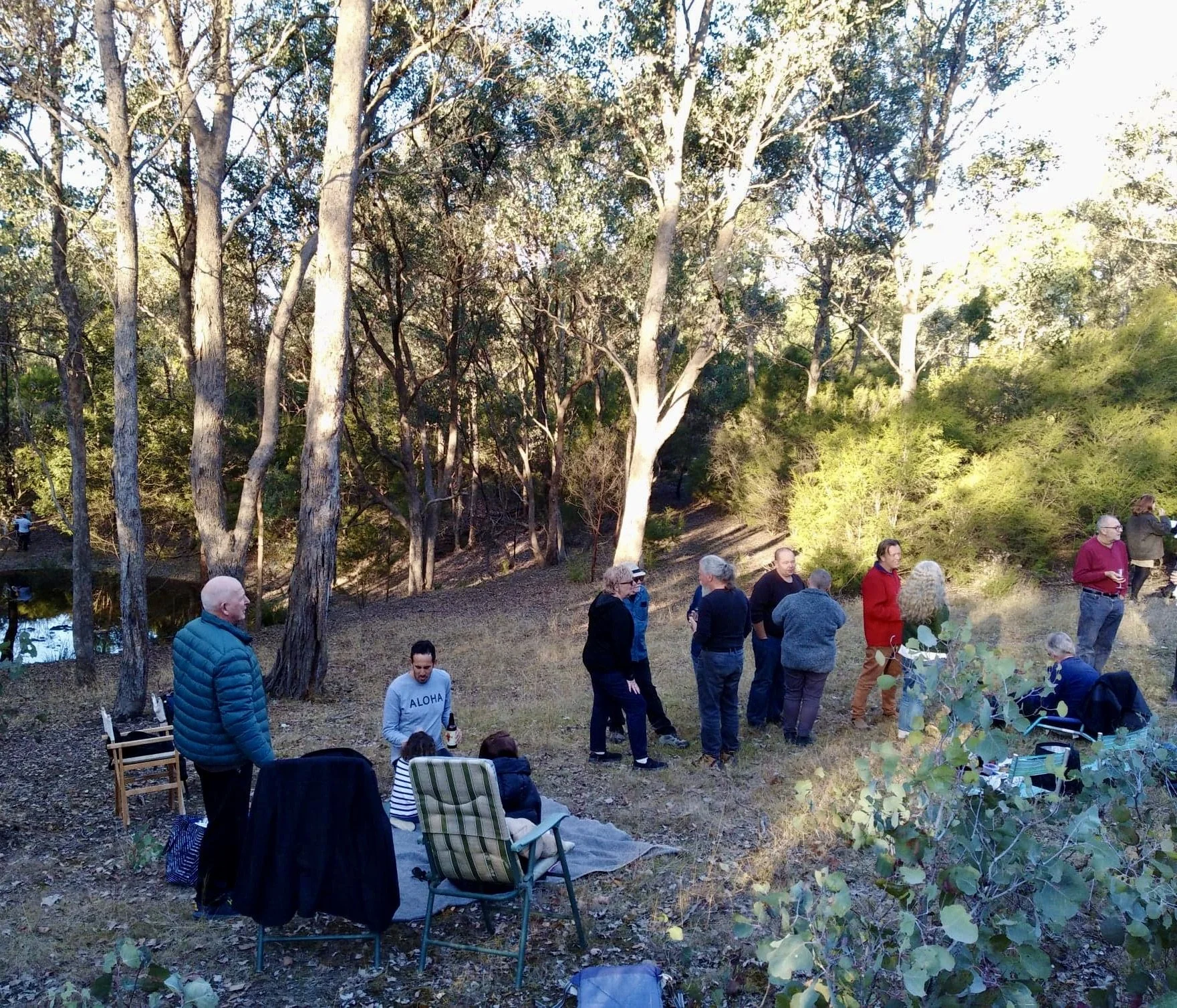 Group of people gathered outdoors in a wooded area, some standing and some sitting on chairs, with trees and sunlight in the background.