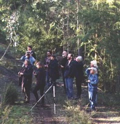 Group of people standing outdoors in a wooded area, some wearing hats, observing or discussing something.