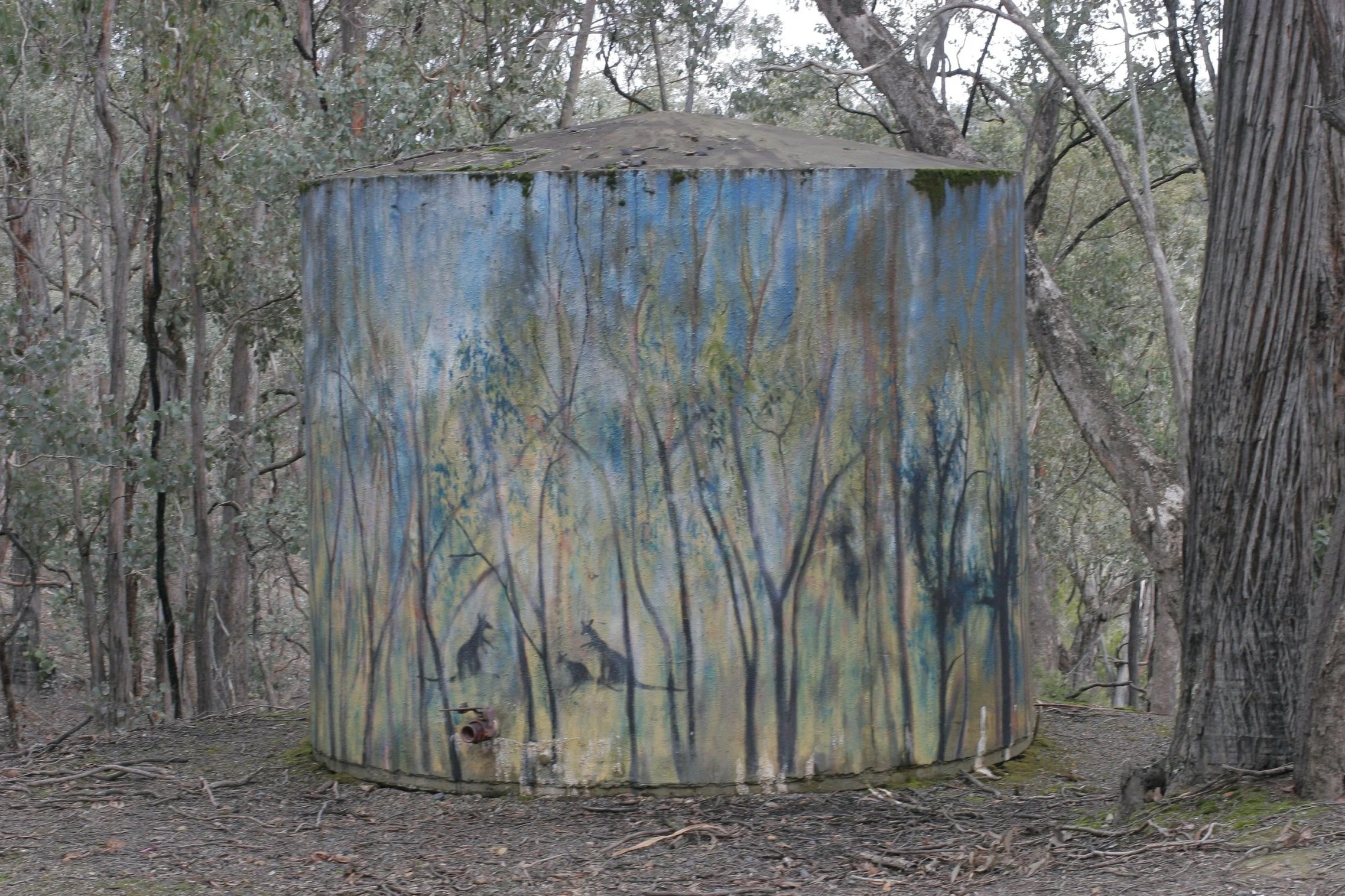 ironbark_tank_02.jpg
