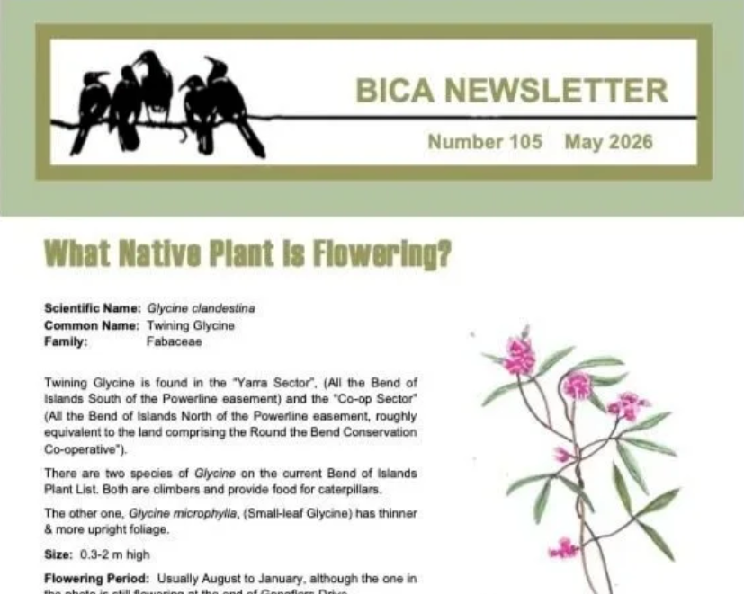 BICA Newsletter May 2026 is here.