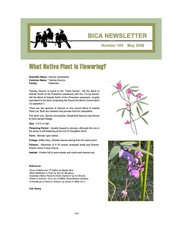 front page of May 2026 BICA newsletter