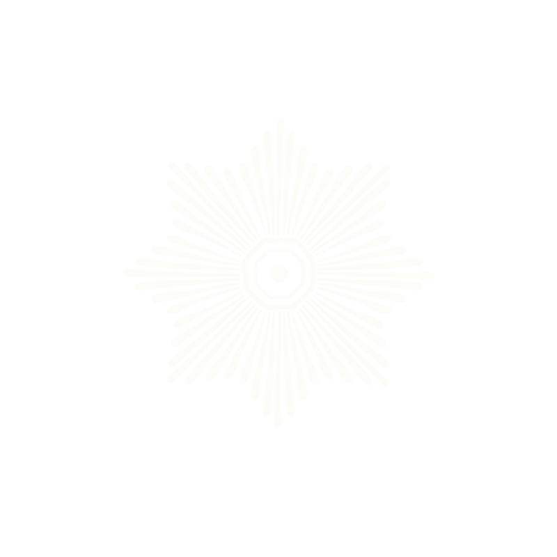 Stylized white star with radiating lines on a black background.