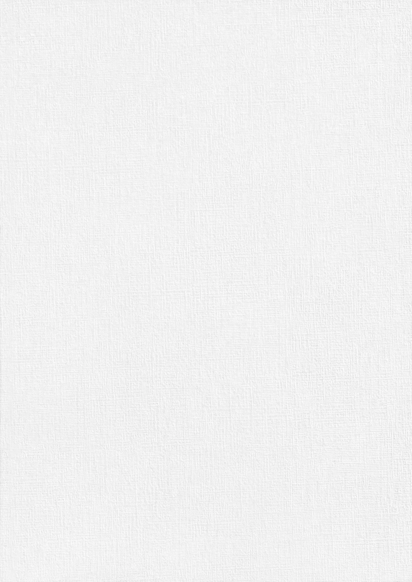 The image is blank with a light textured white background.