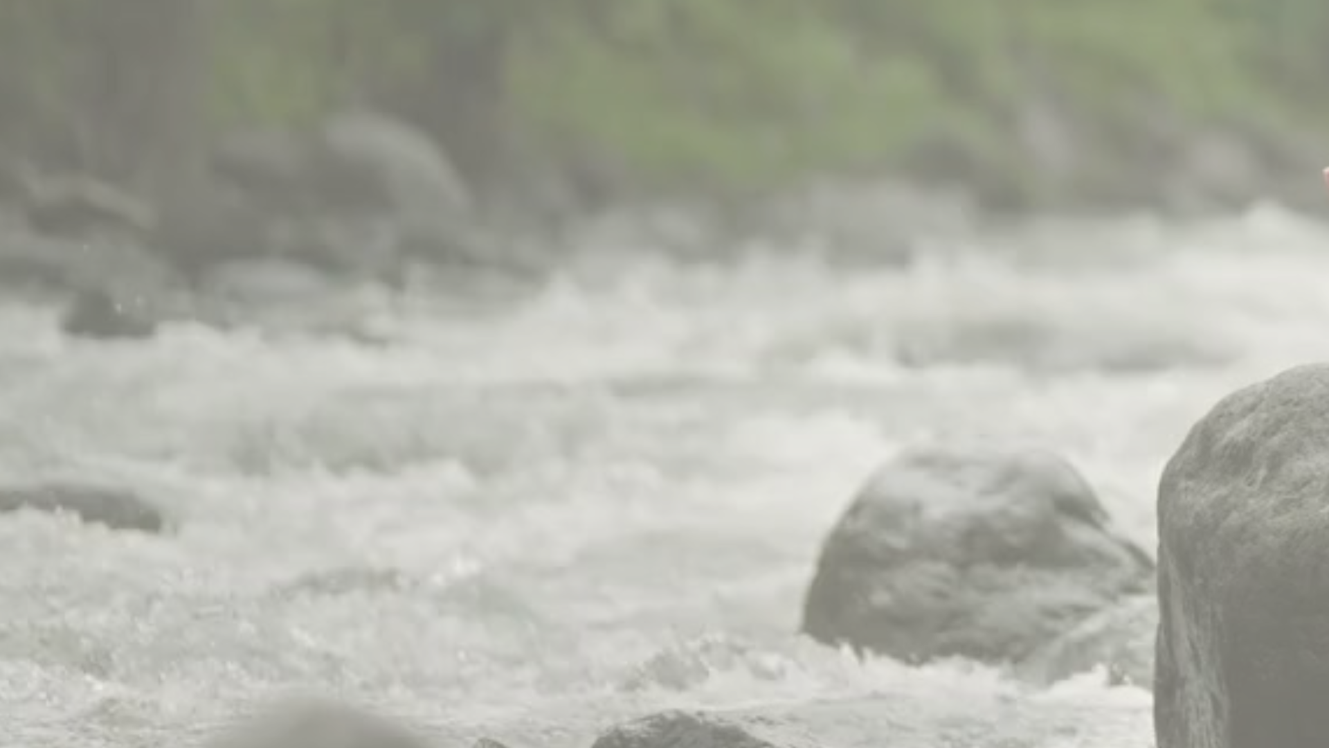 Nature-based self-care with Divinity Within.png