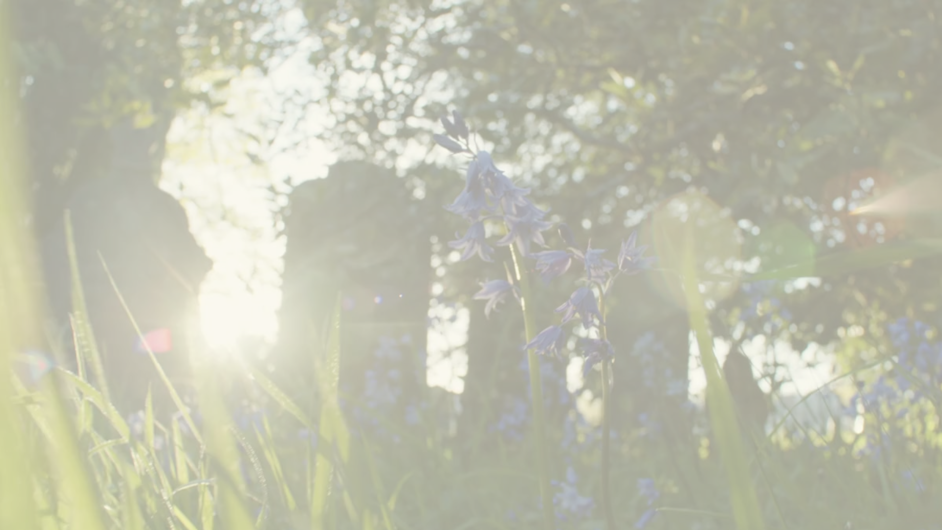 Death Doula & End of Life Care.png