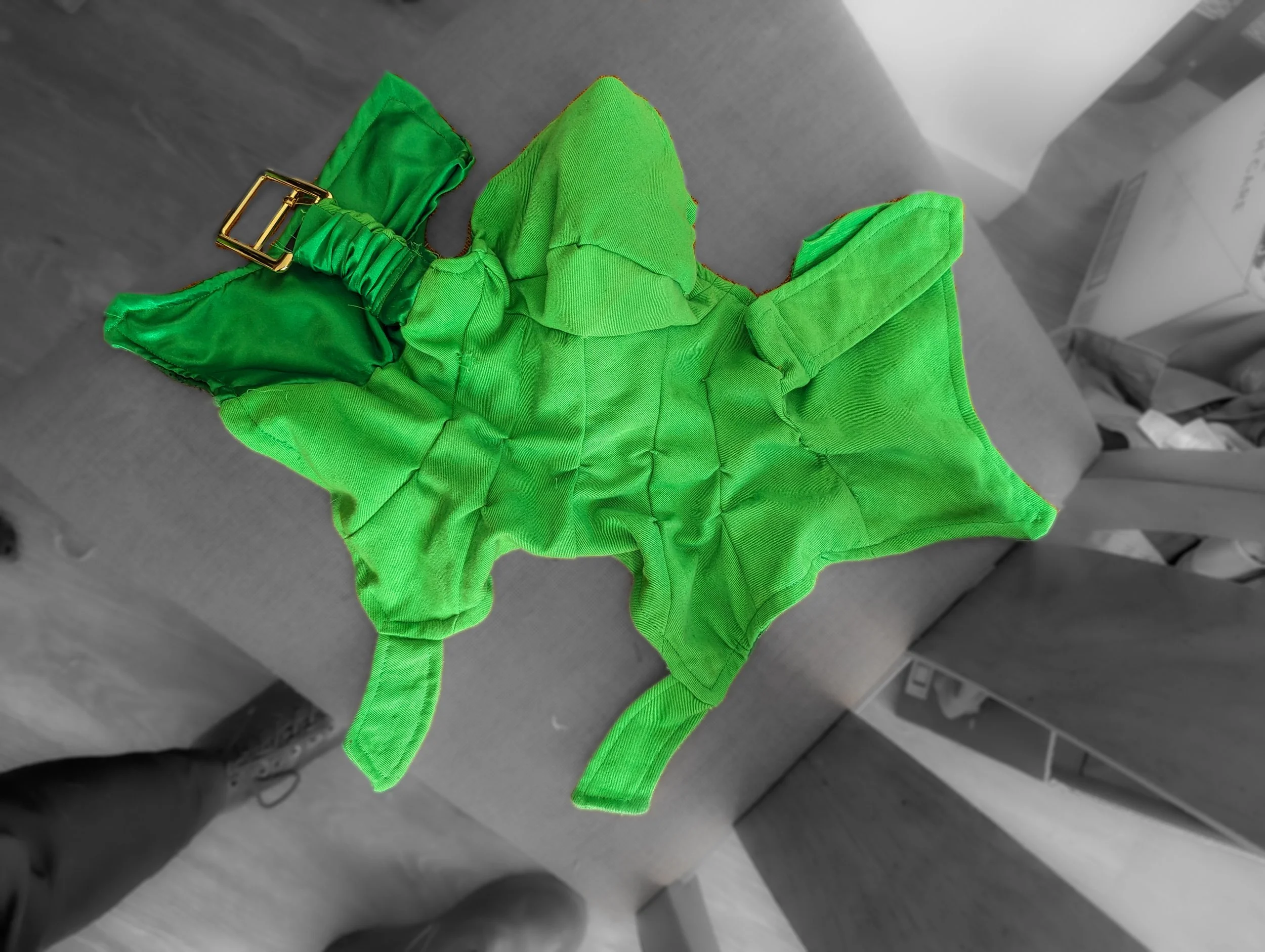 header-31.jpg