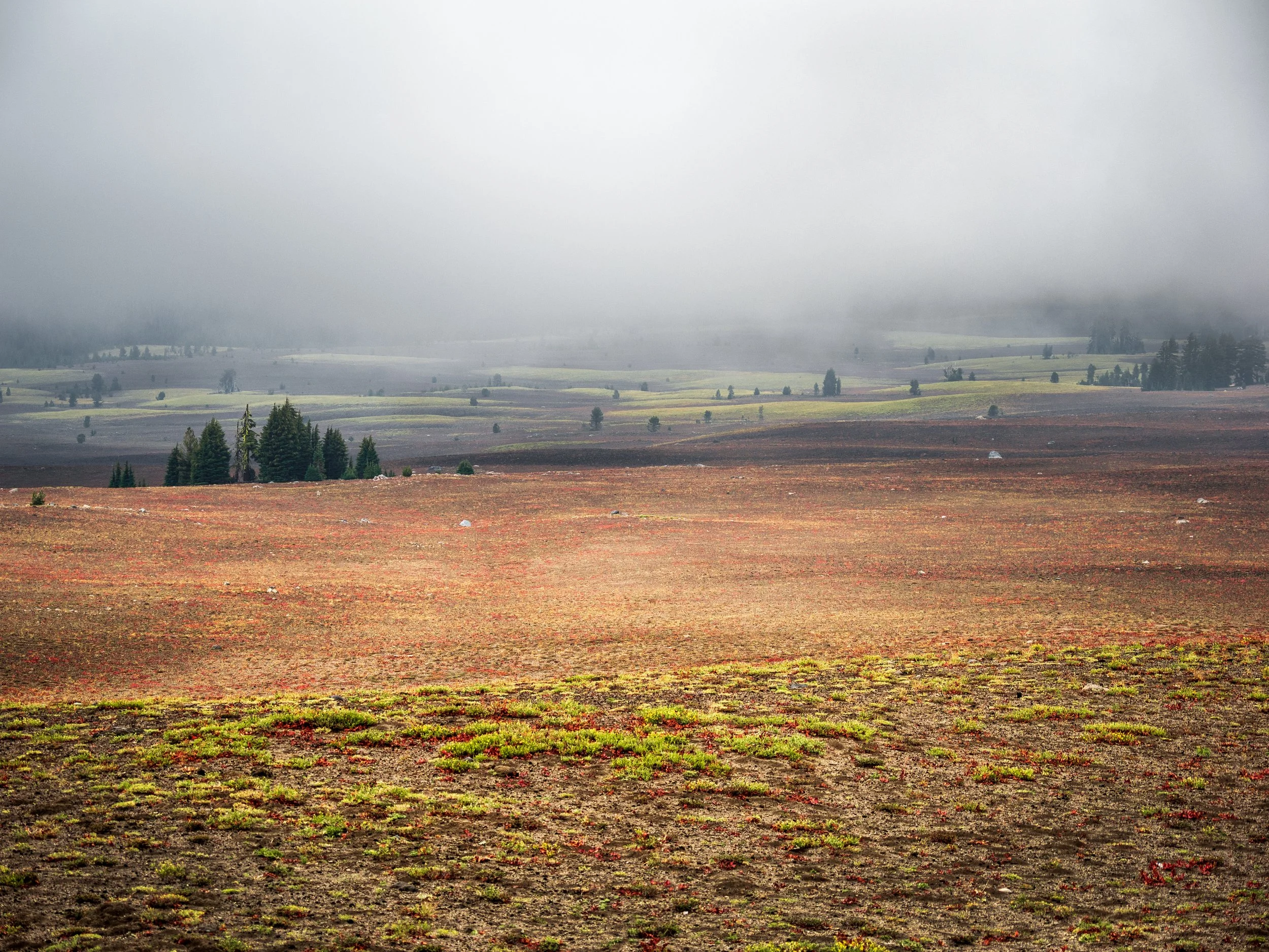 Meadow in the Clouds