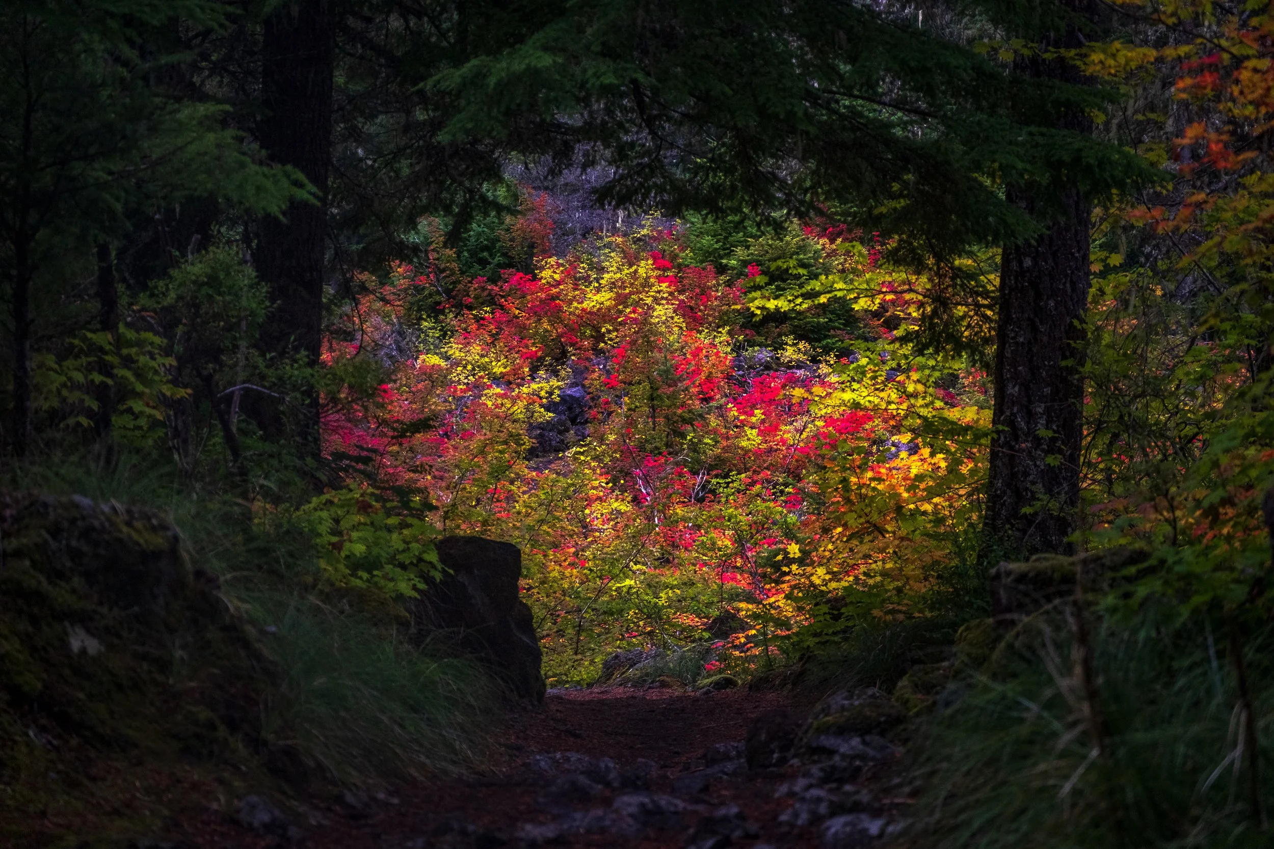 Hidden Colors