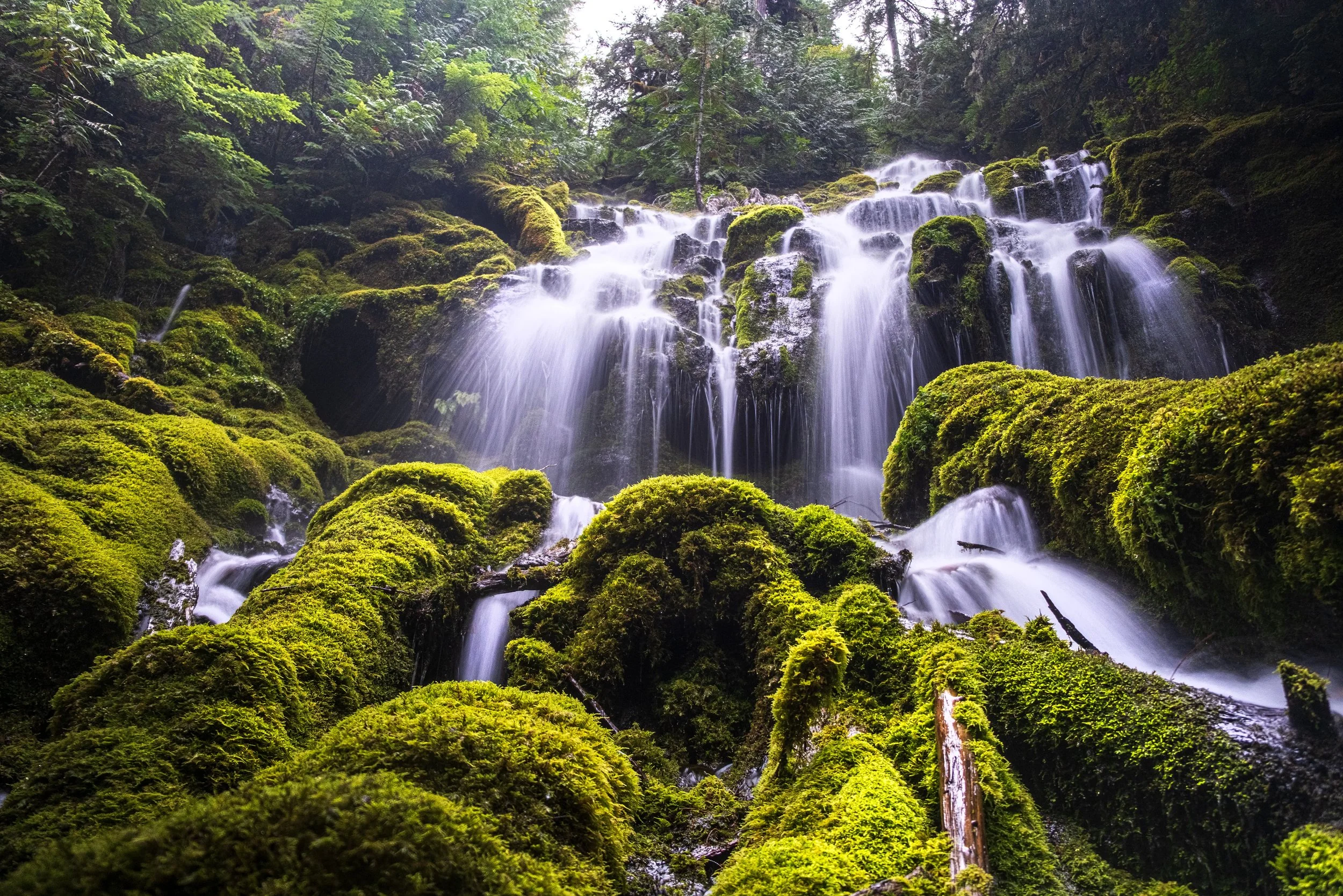 Emerald Mist