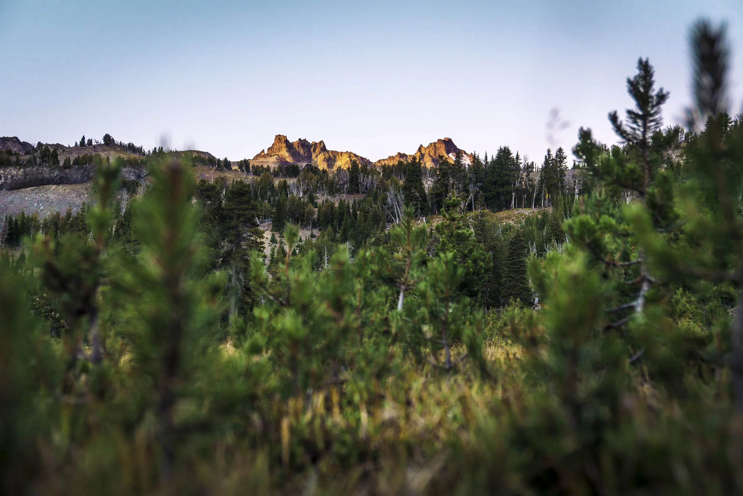 Broken Top Meadow.jpg