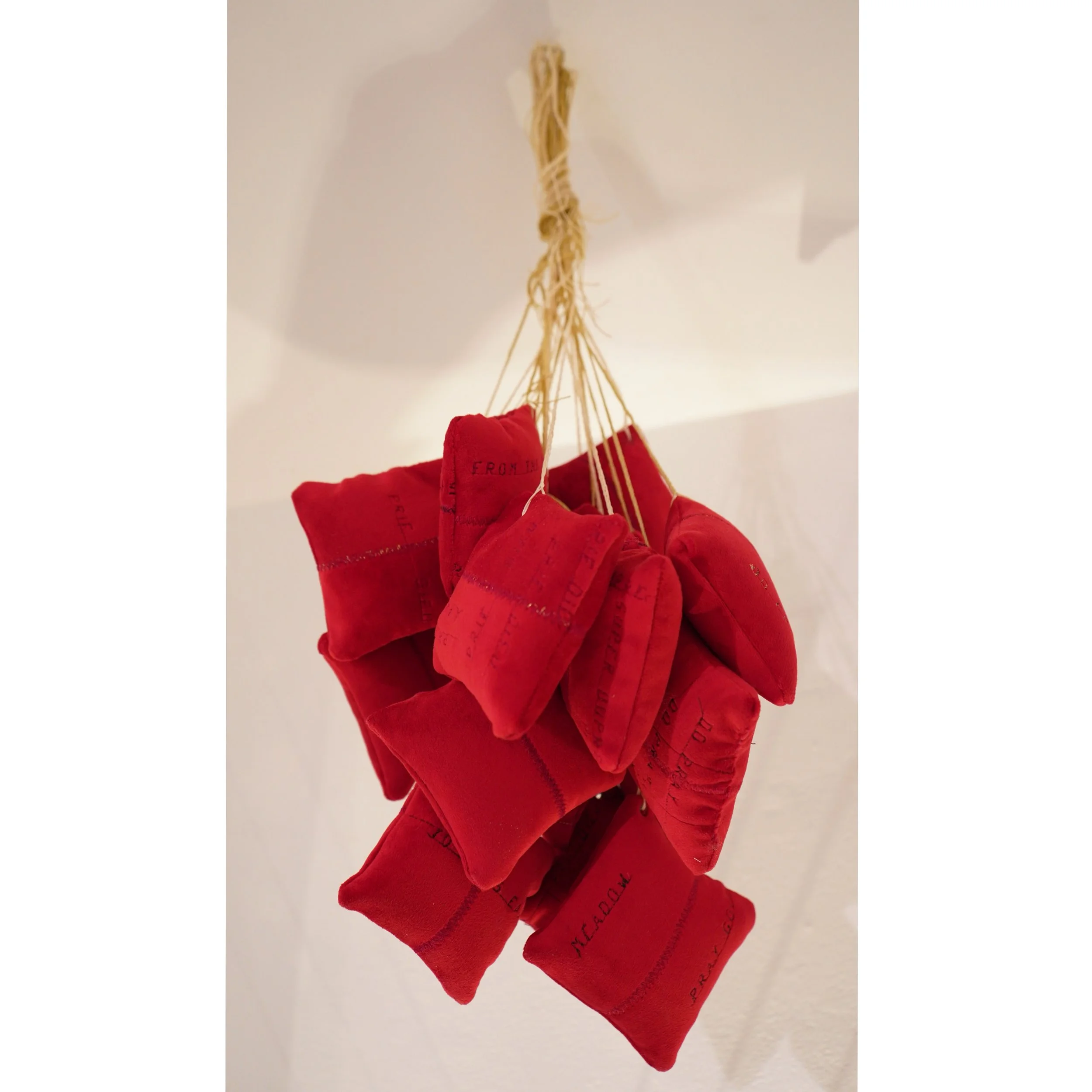 The discipline, Lawndale Art Center