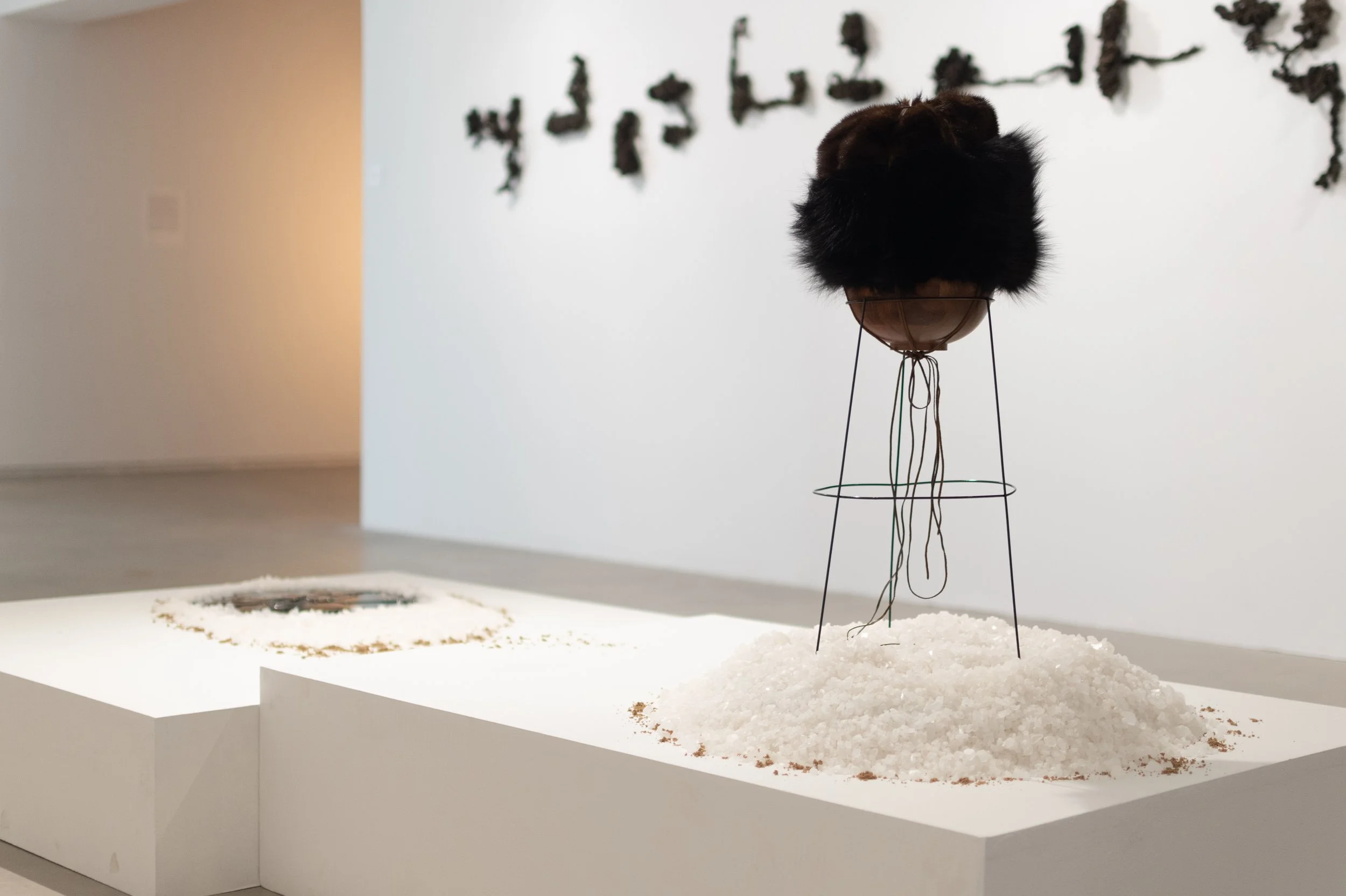 (Foreground) Pine moon. Fur, leather, salt, pine sap, sand, tin; 3.5 ft x 10 ft x 3.5 ft; 2025.