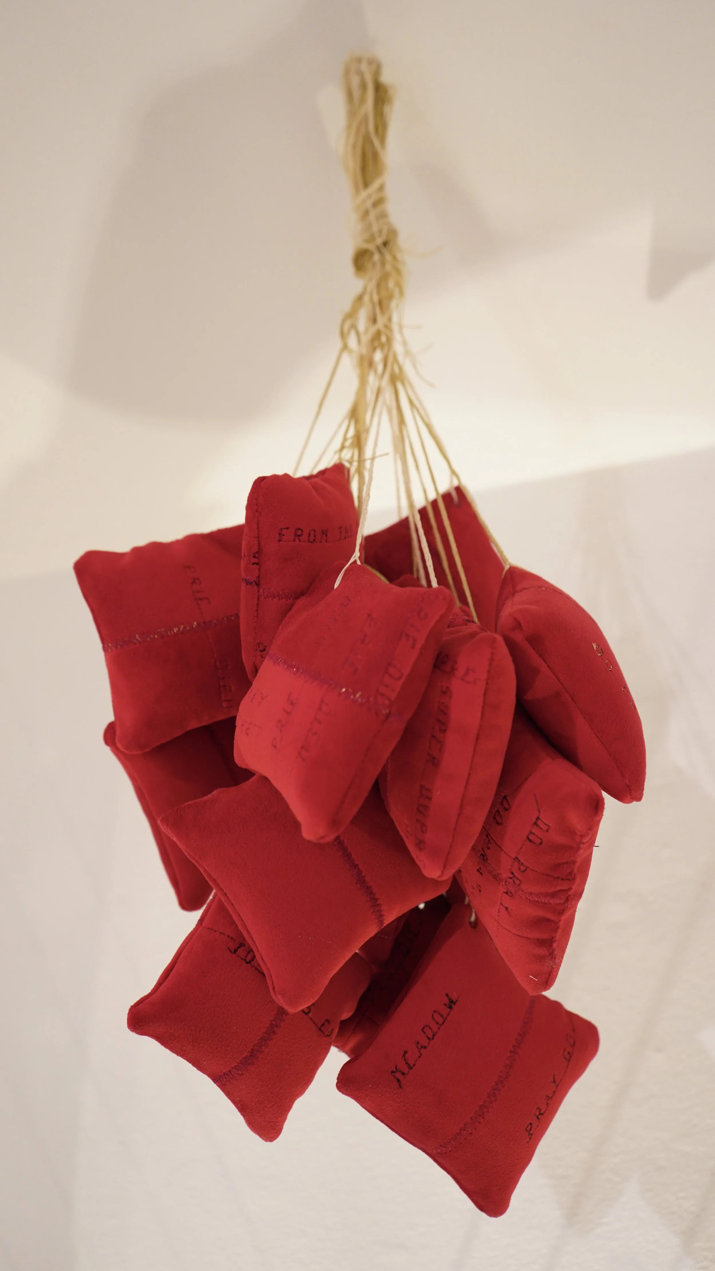 The discipline.
Embroidery on velvet, waxed string.
24 in x 16 in x 16 in; 2024.