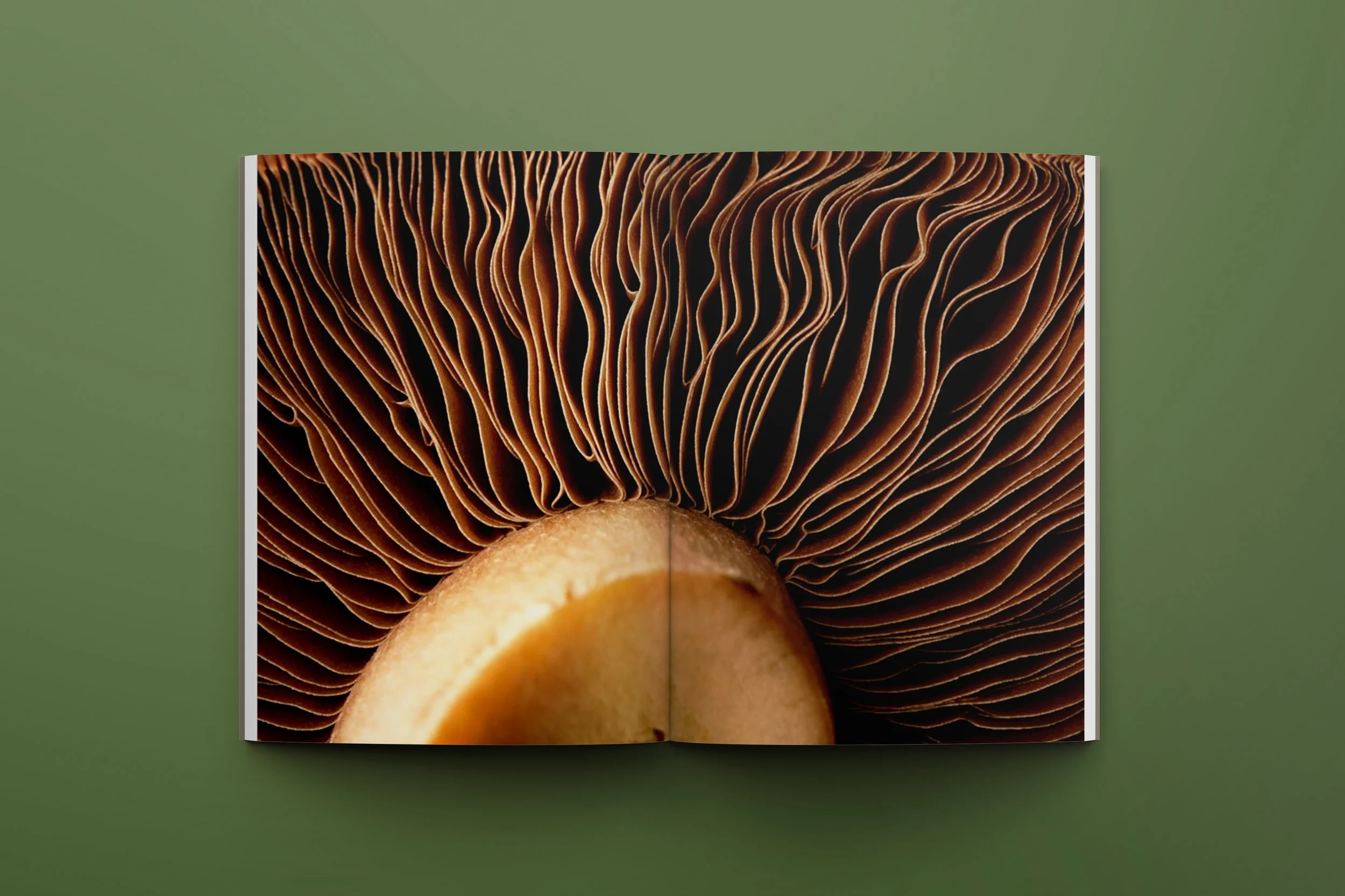 taste 10.jpg