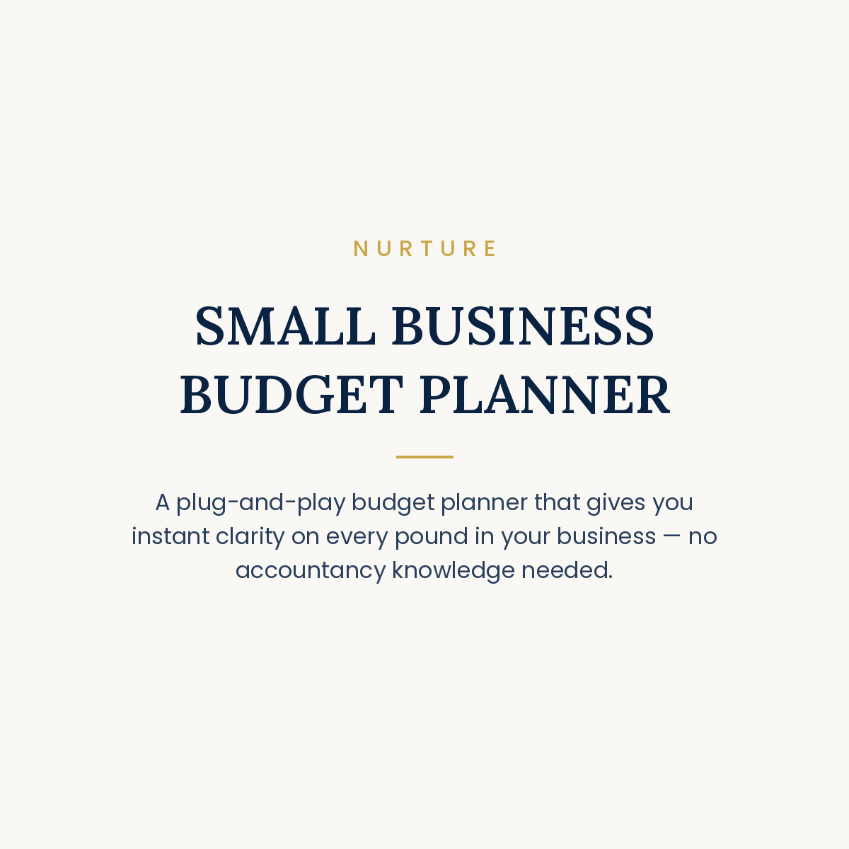 SMALL BUSINESS BUDGET PLANNER