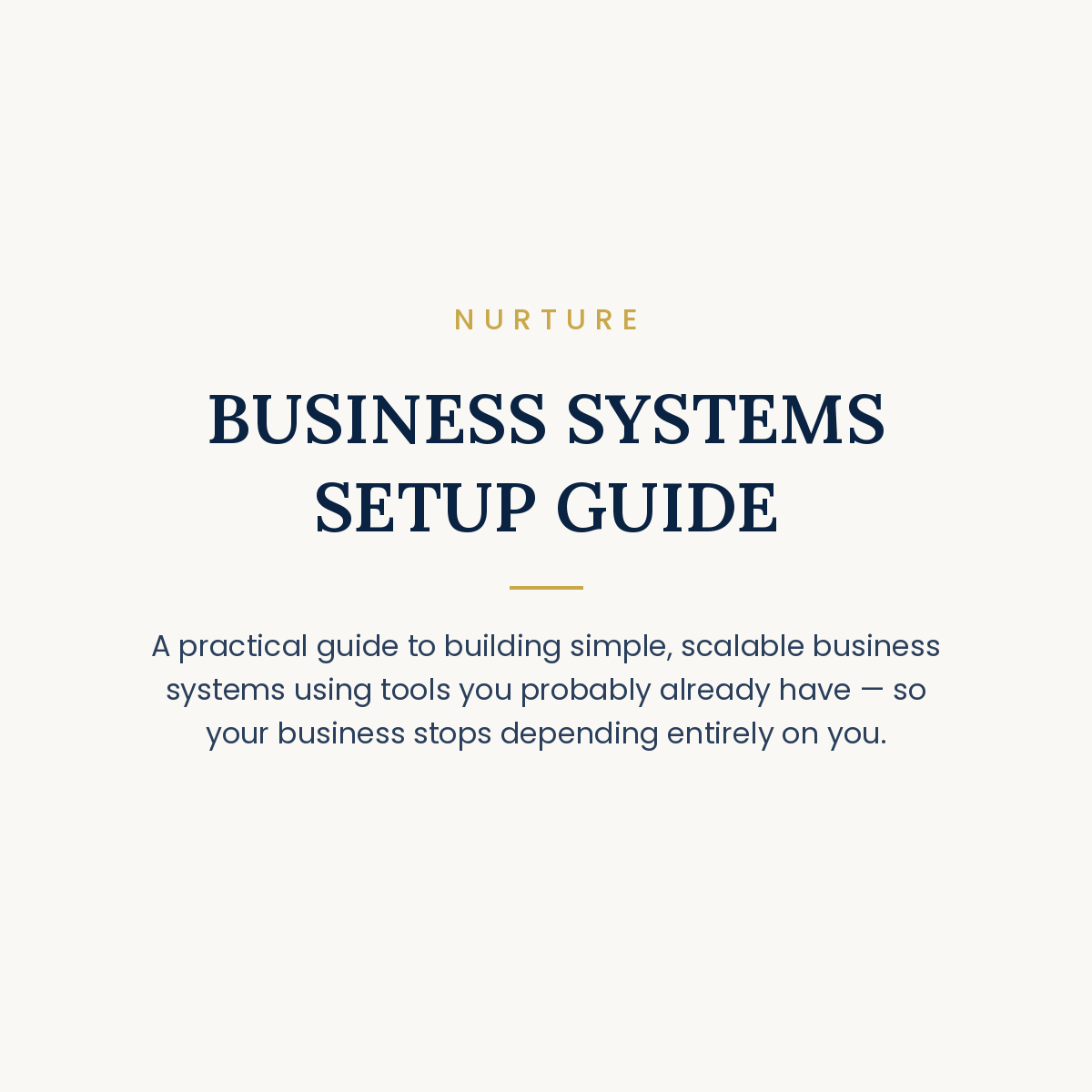 BUSINESS SYSTEMS SETUP GUIDE