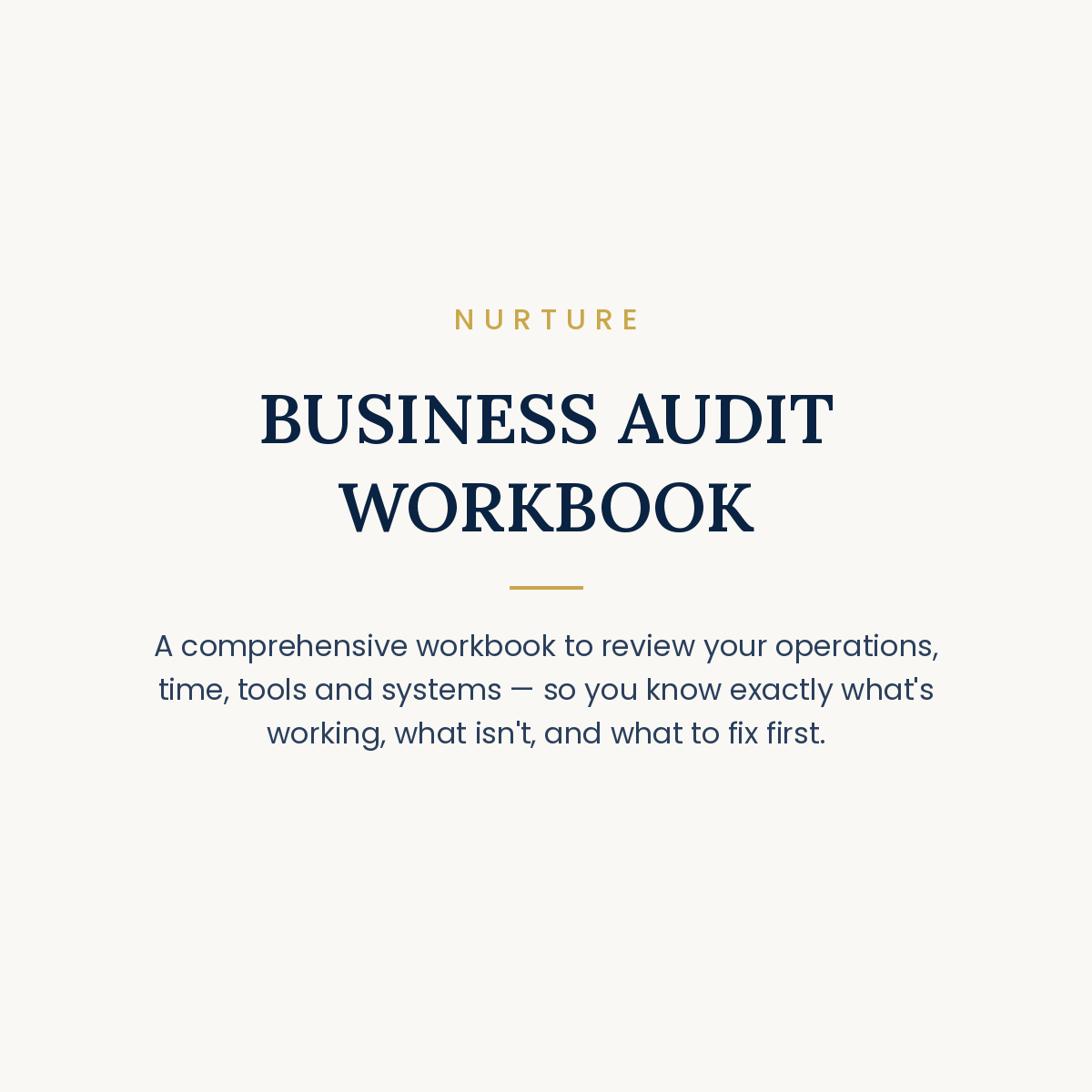 BUSINESS AUDIT WORKBOOK