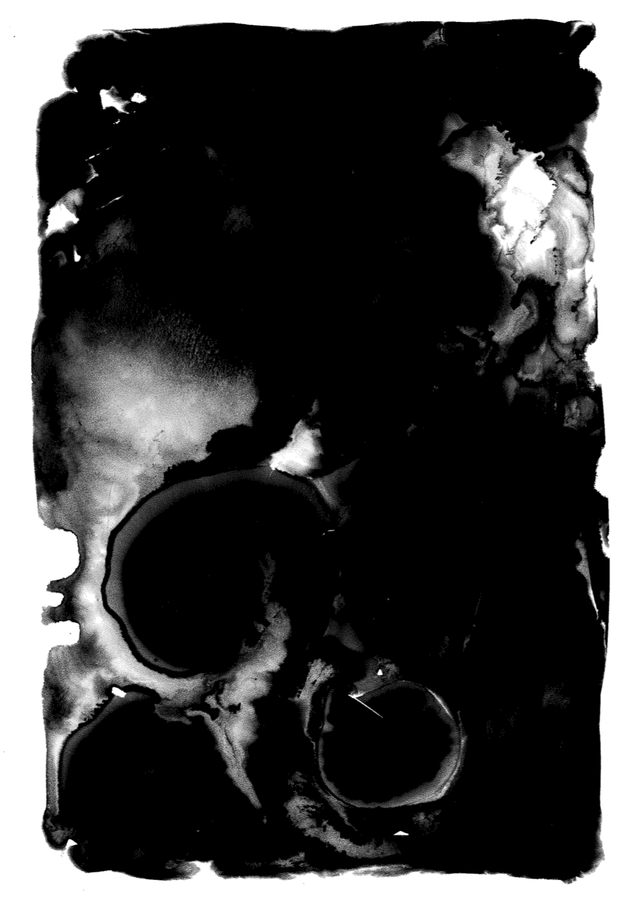 Dillon_Molly_17 copy.jpg