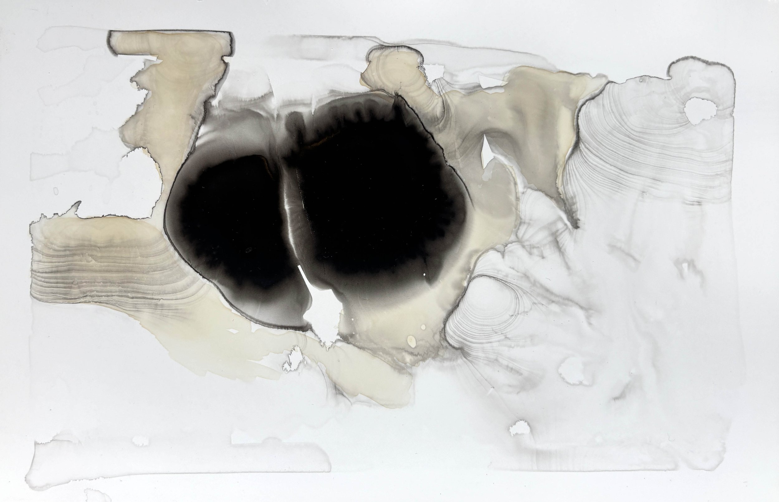 The Collemacchia Project