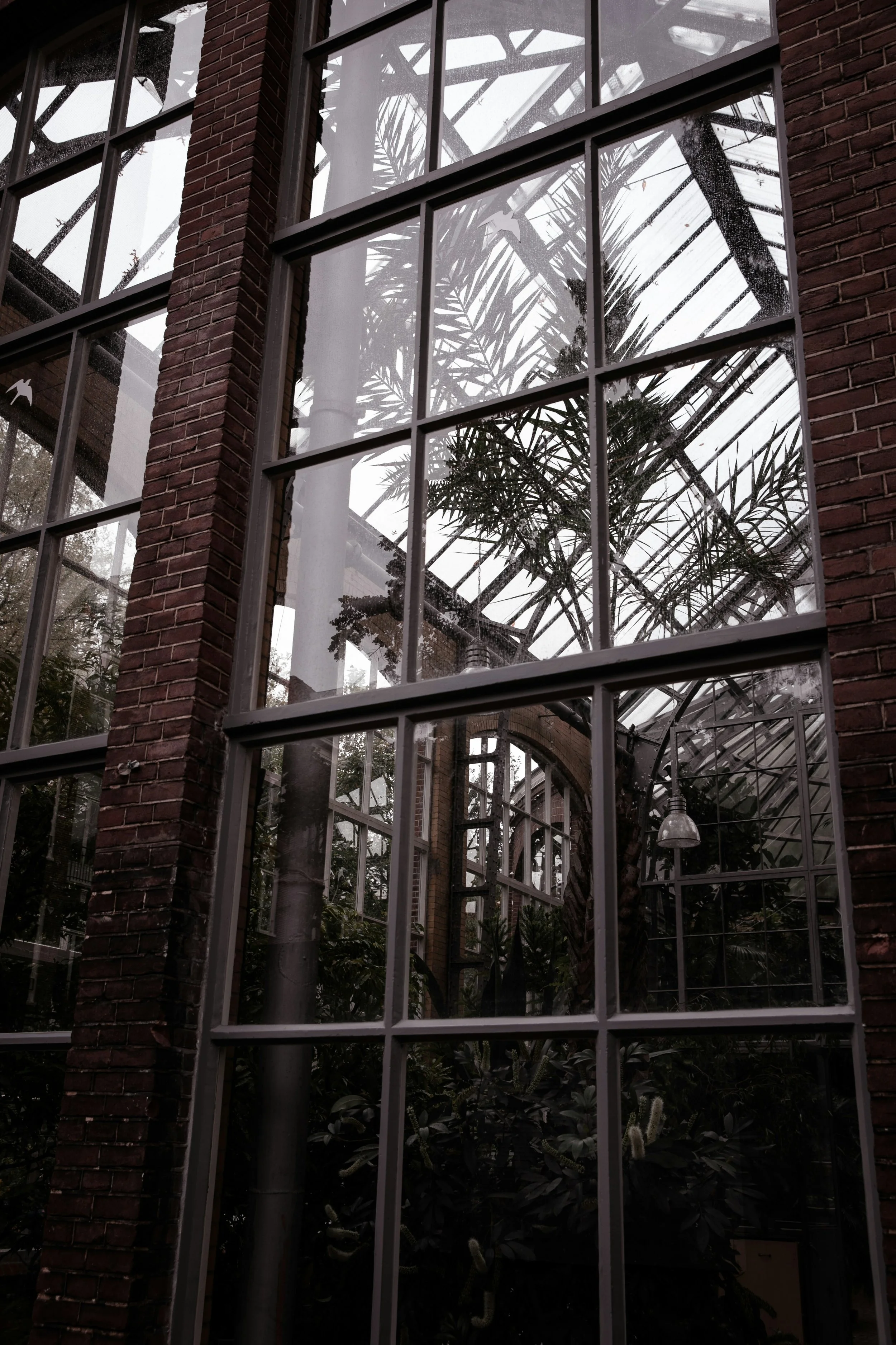 View through a large industrial-style window showing interior greenery and metal framework, brick wall on the sides.
