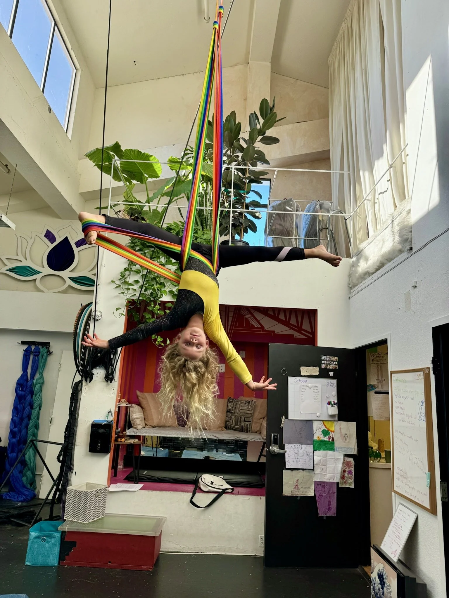 A woman with long curly blonde hair hanging upside down on an aerial silk set up indoors, with colorful silks hanging from the ceiling, in a room decorated with plants, white curtains, and wall art.