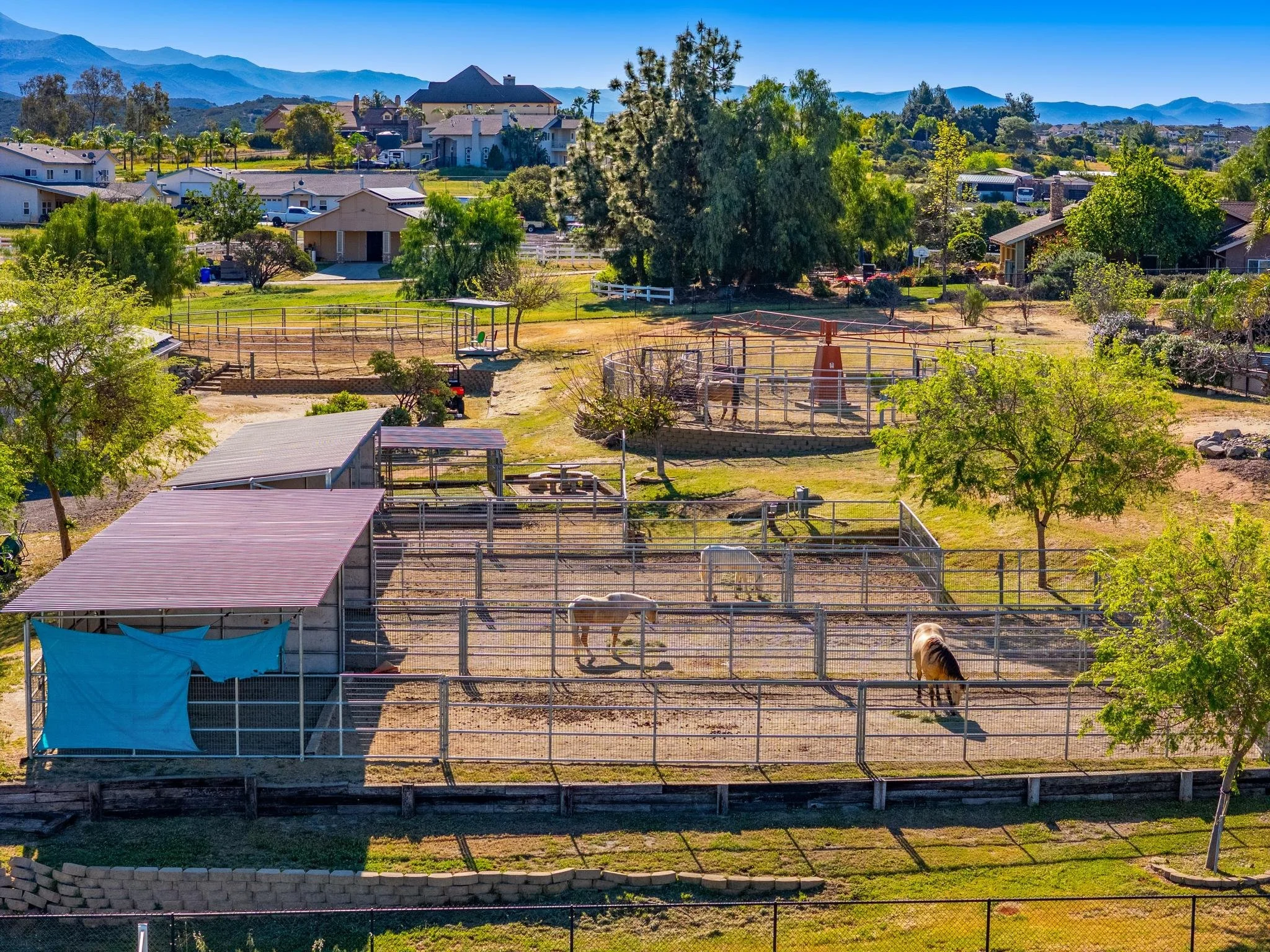 Paseo de Caballo-12.jpg