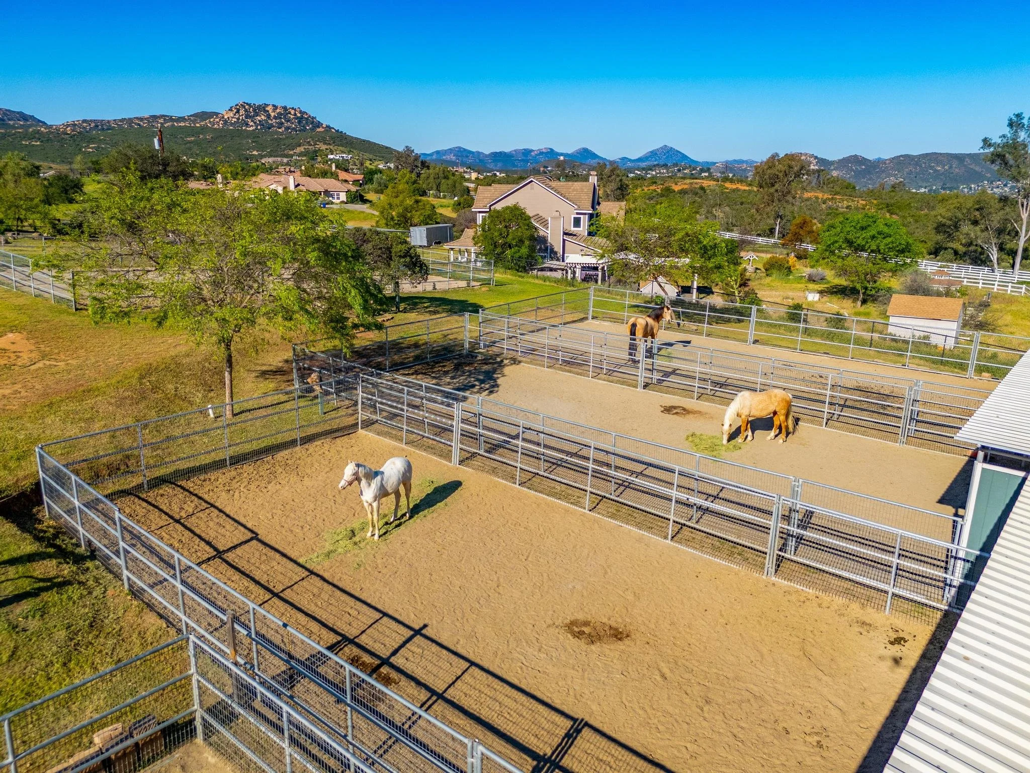Paseo de Caballo-14.jpg