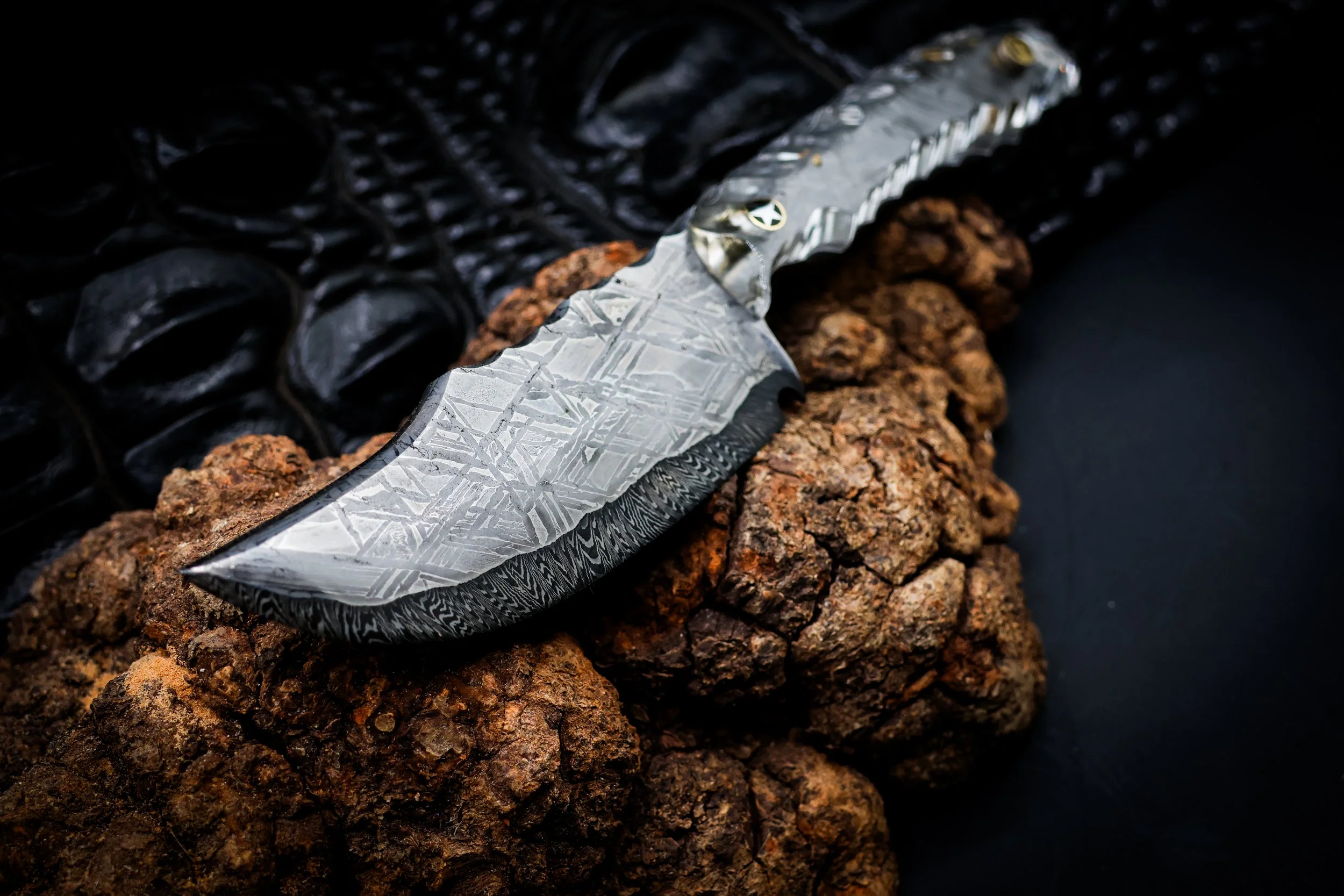 Handmade Aletai meteorite clad Damascus knife with clear acrylic handle and visible meteorite tang by Salty Dog.
