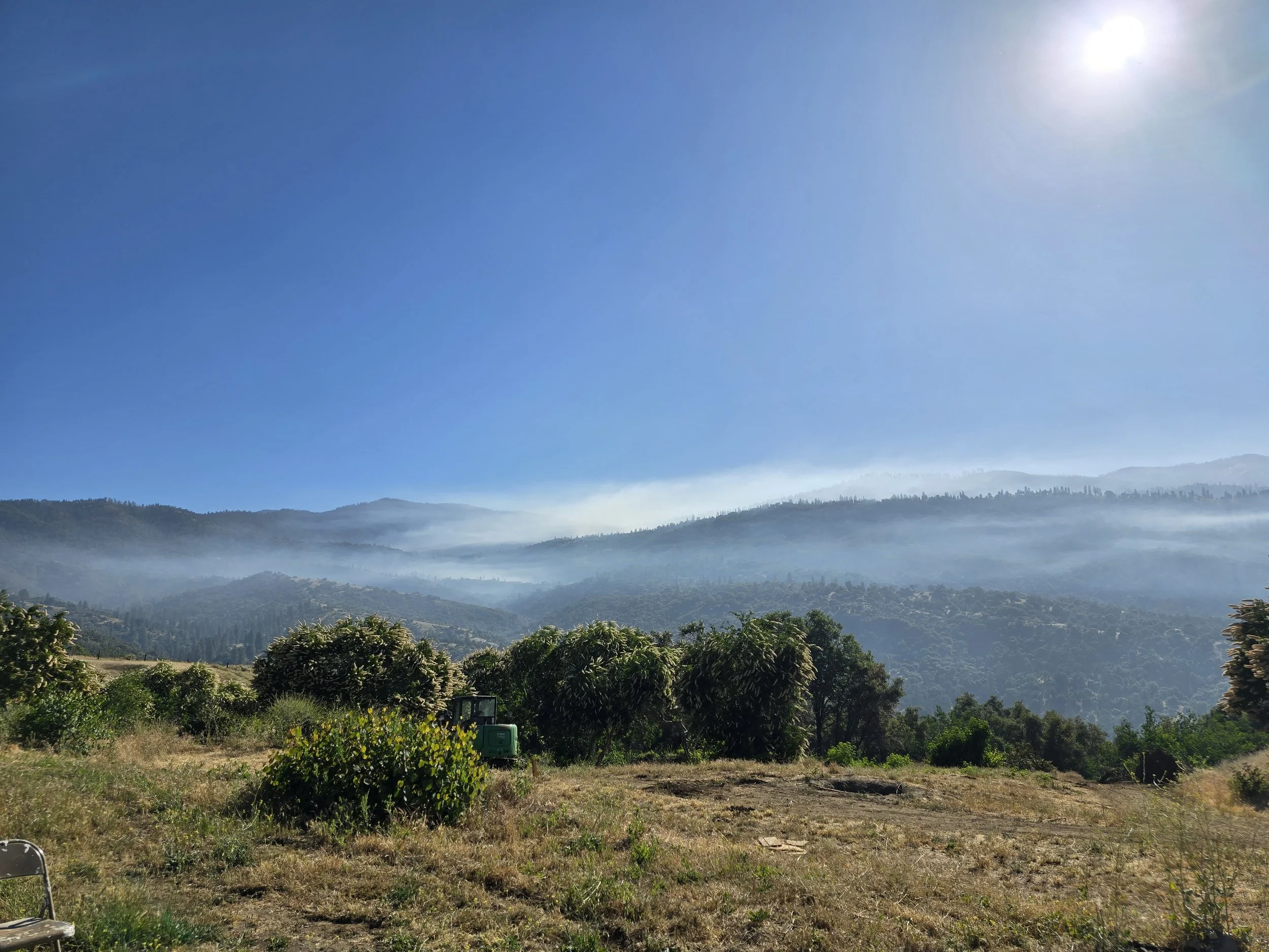 A scenic landscape with a field, trees, rolling hills, and mountains in the distance under a clear blue sky with the sun shining.