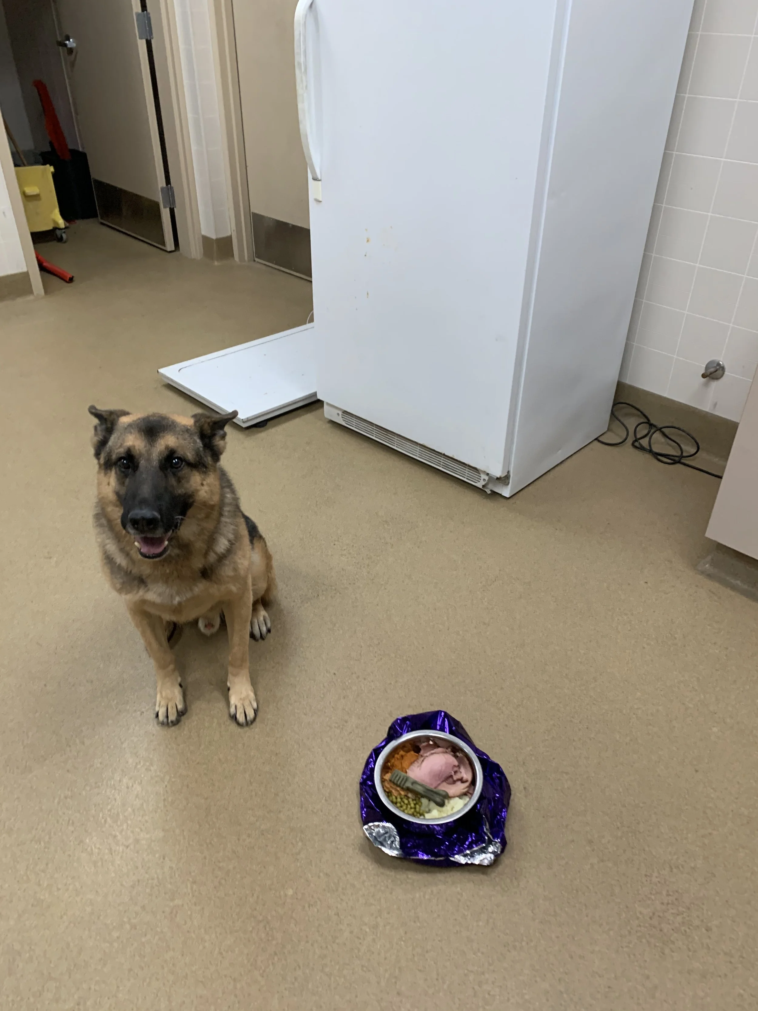 Dispatch #3: Stability “Stay”