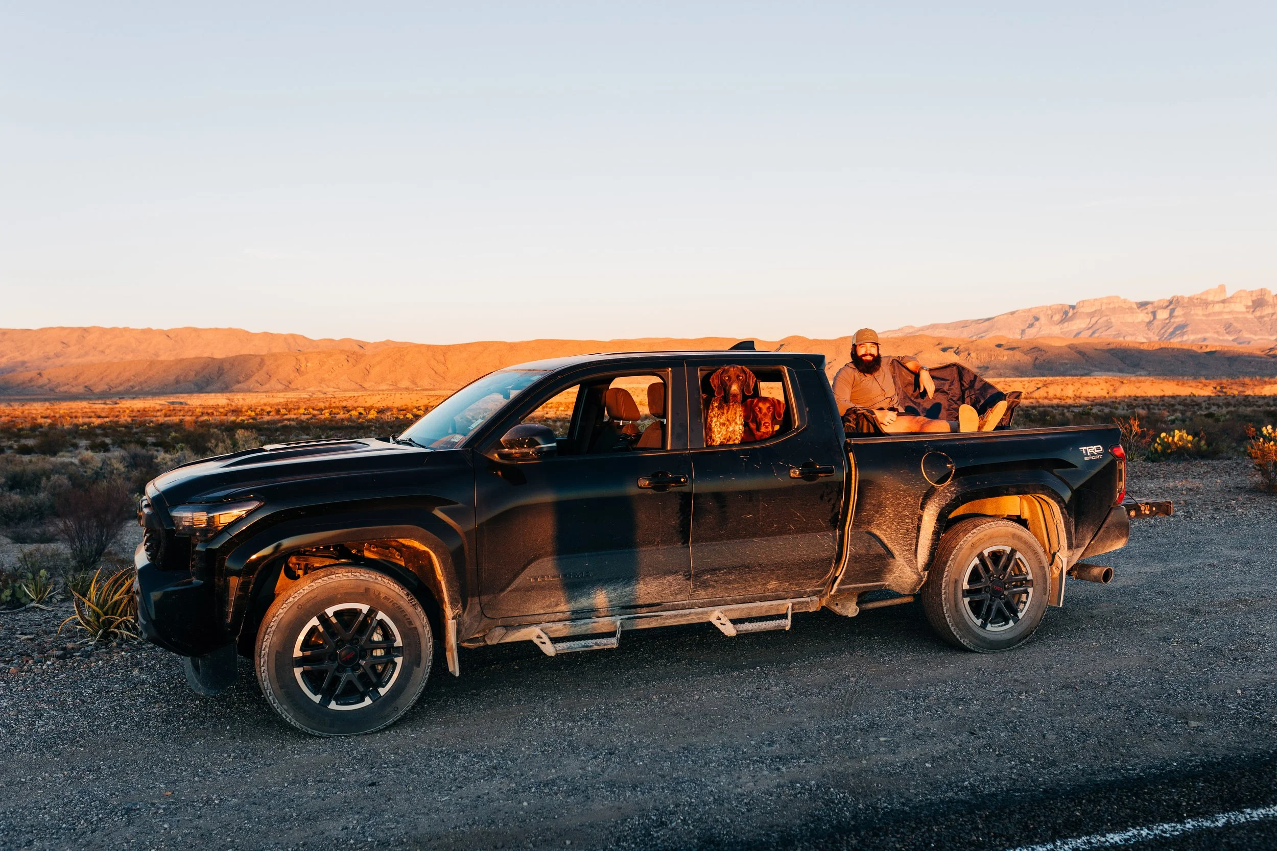 Dispatch #1: Introduction 