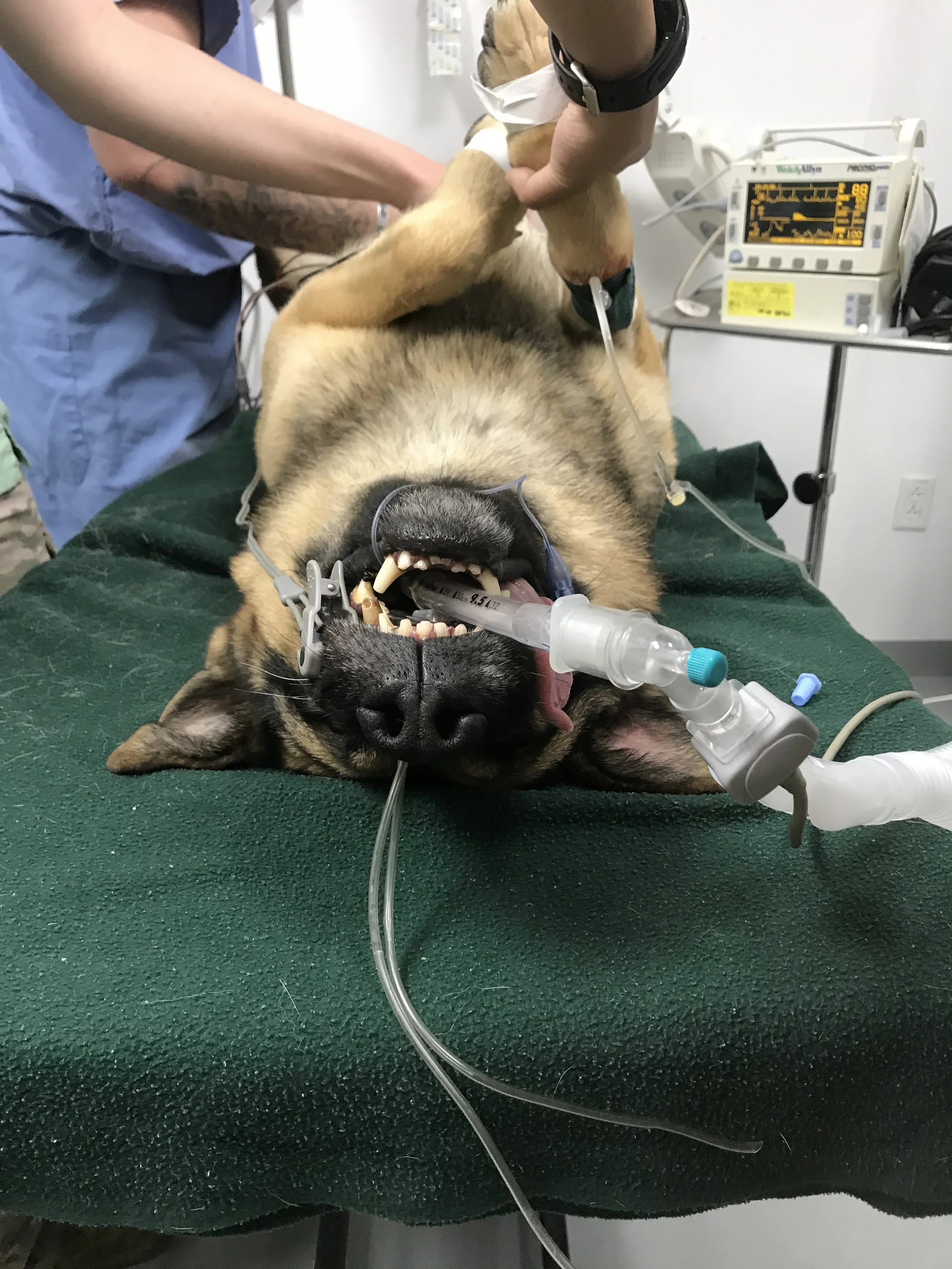 Dispatch #8: FIRST AID—Stop the Bleed