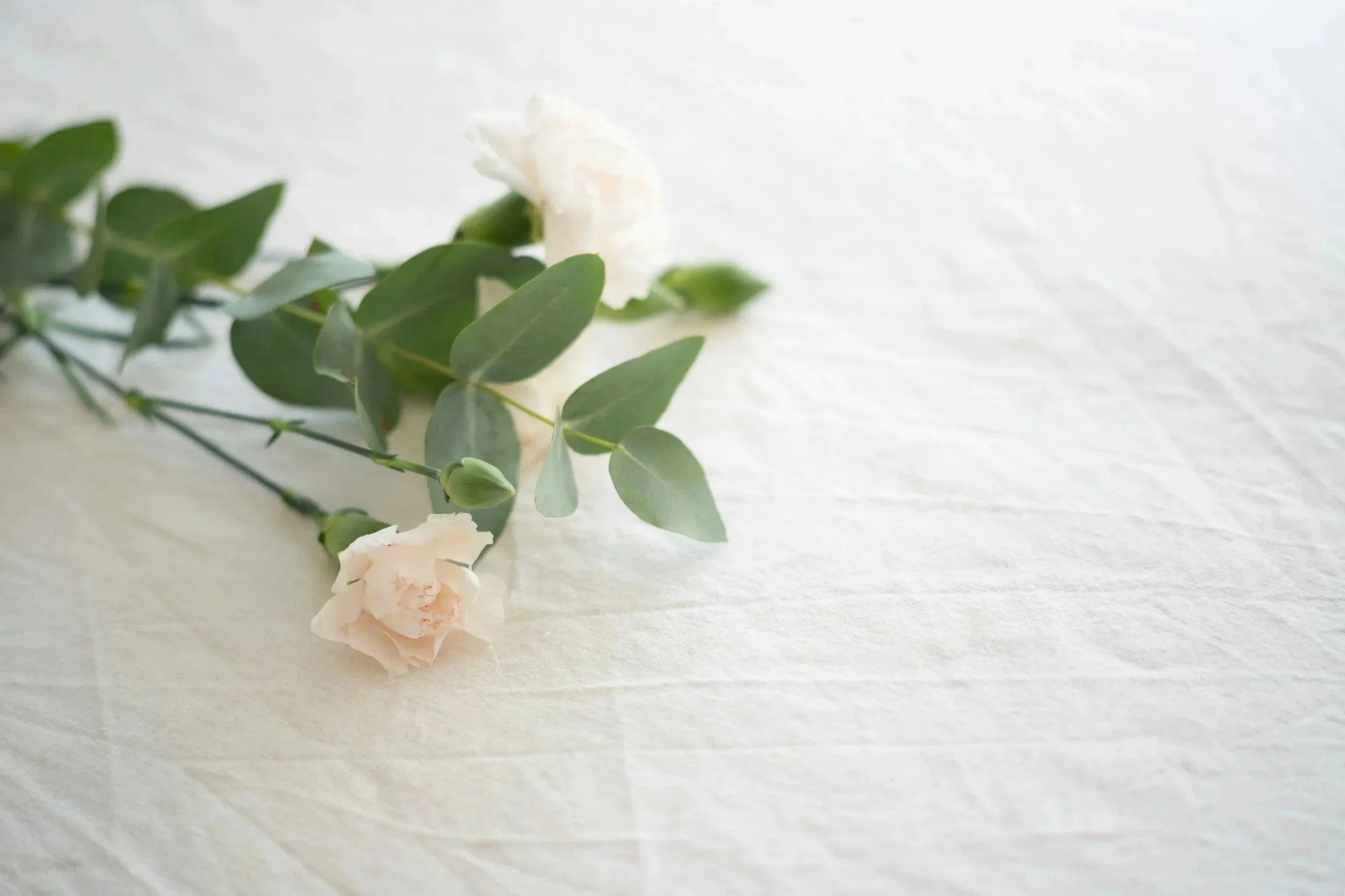 Finding the Right Words: A Free Guide to Supporting Someone Through Grief