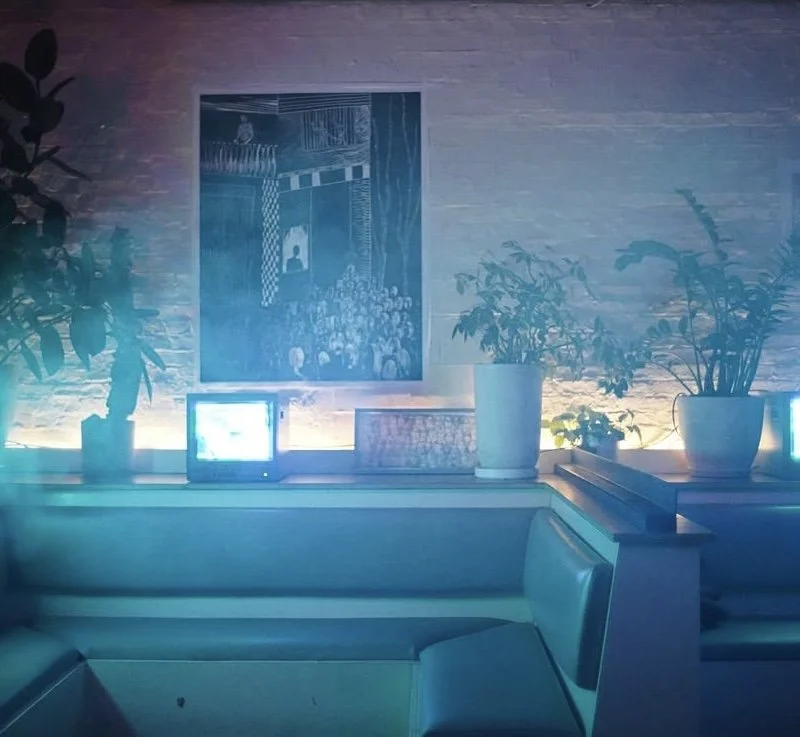 A cozy corner with potted plants on shelves, a small vintage television, a framed picture, and a framed photograph on a white brick wall with blue ambient lighting. MARIAM KVASHILAVA ARTWORK