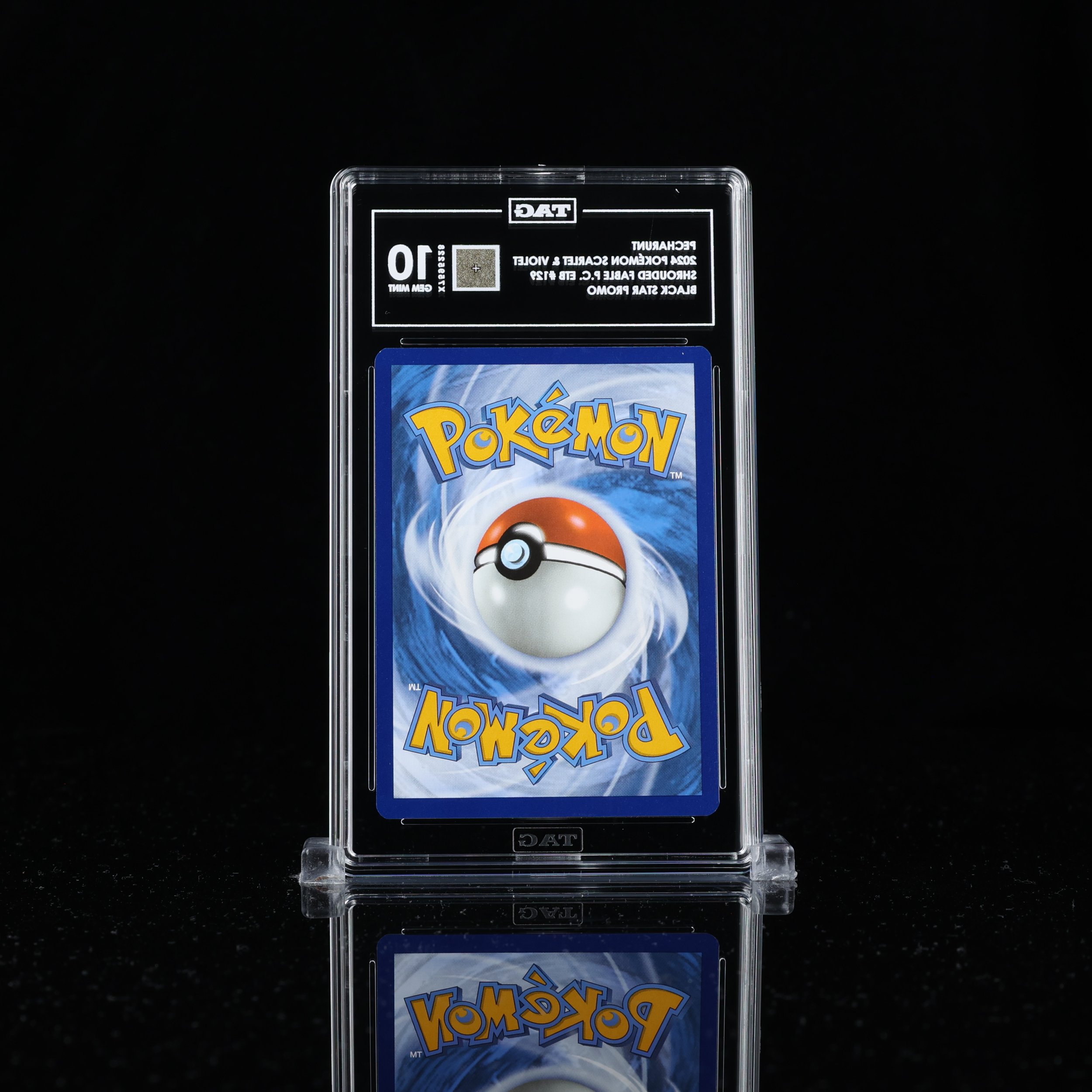 X7595228_Slabbed_1x1_BACK.jpg