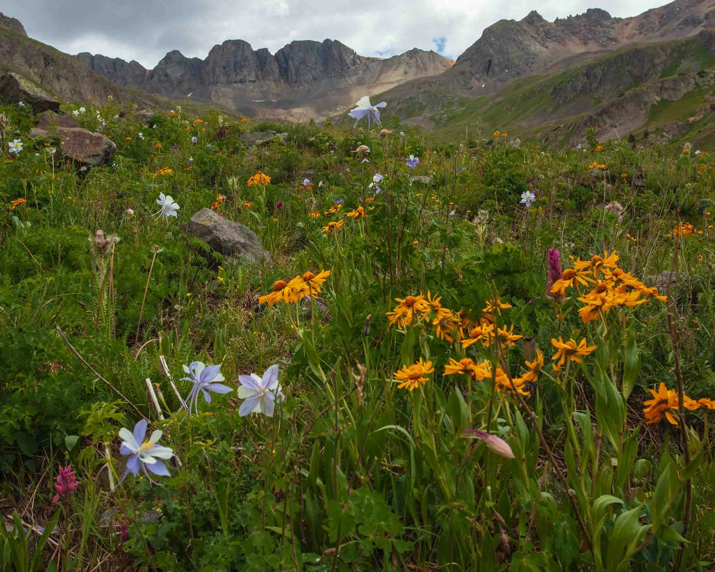 am_basin072213_116.jpg