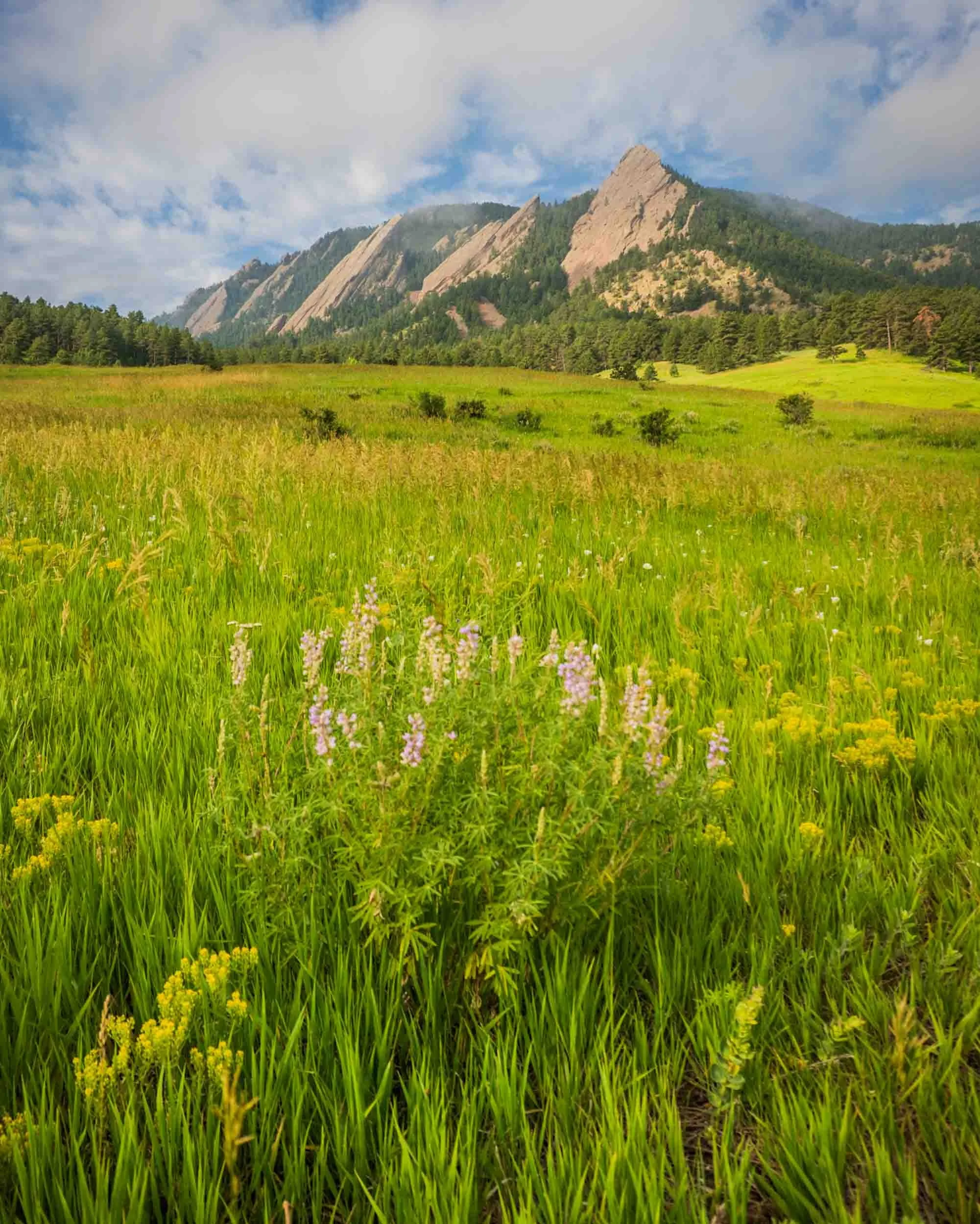 flatirons4web.jpg
