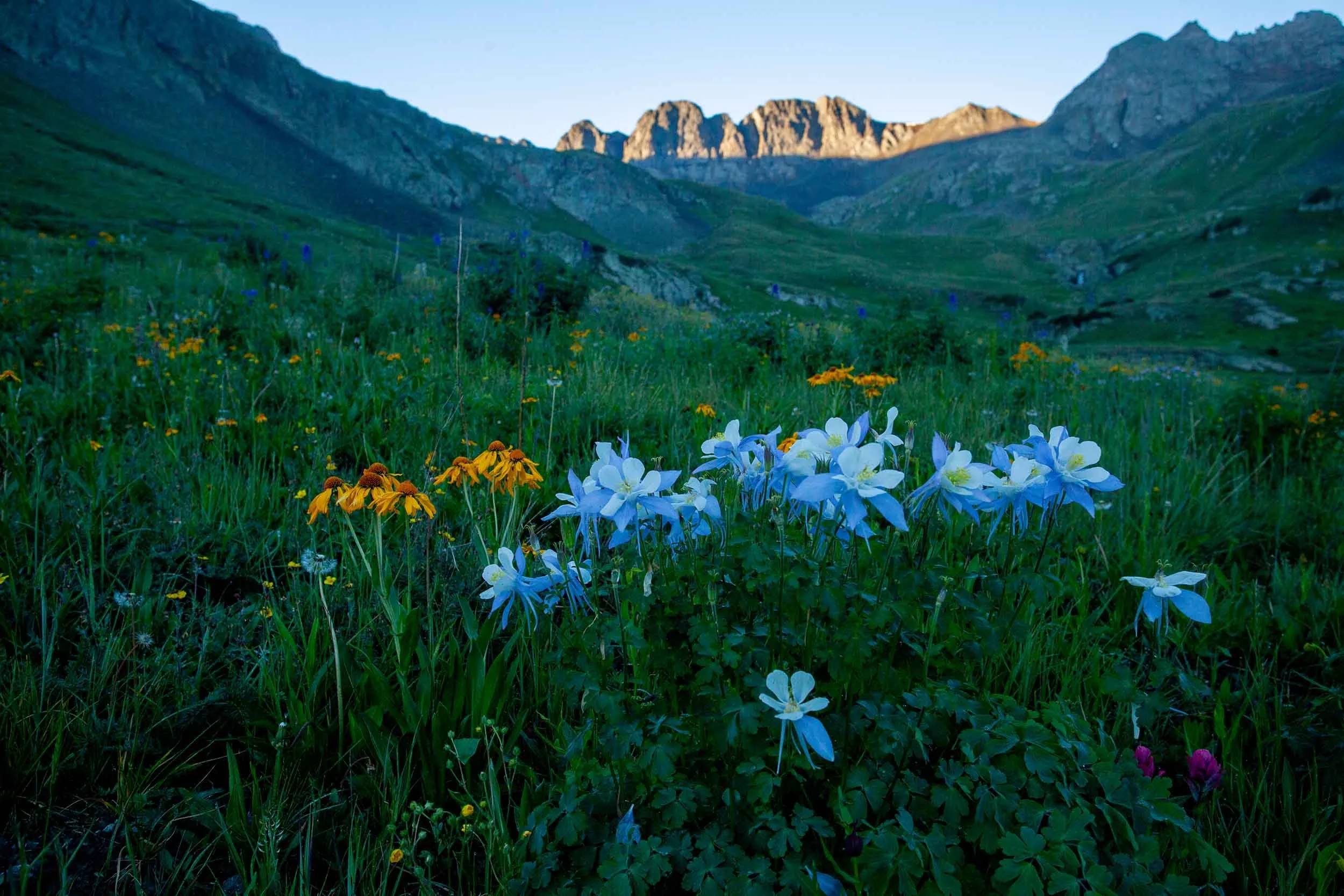 am_basin072213_298 web.jpg