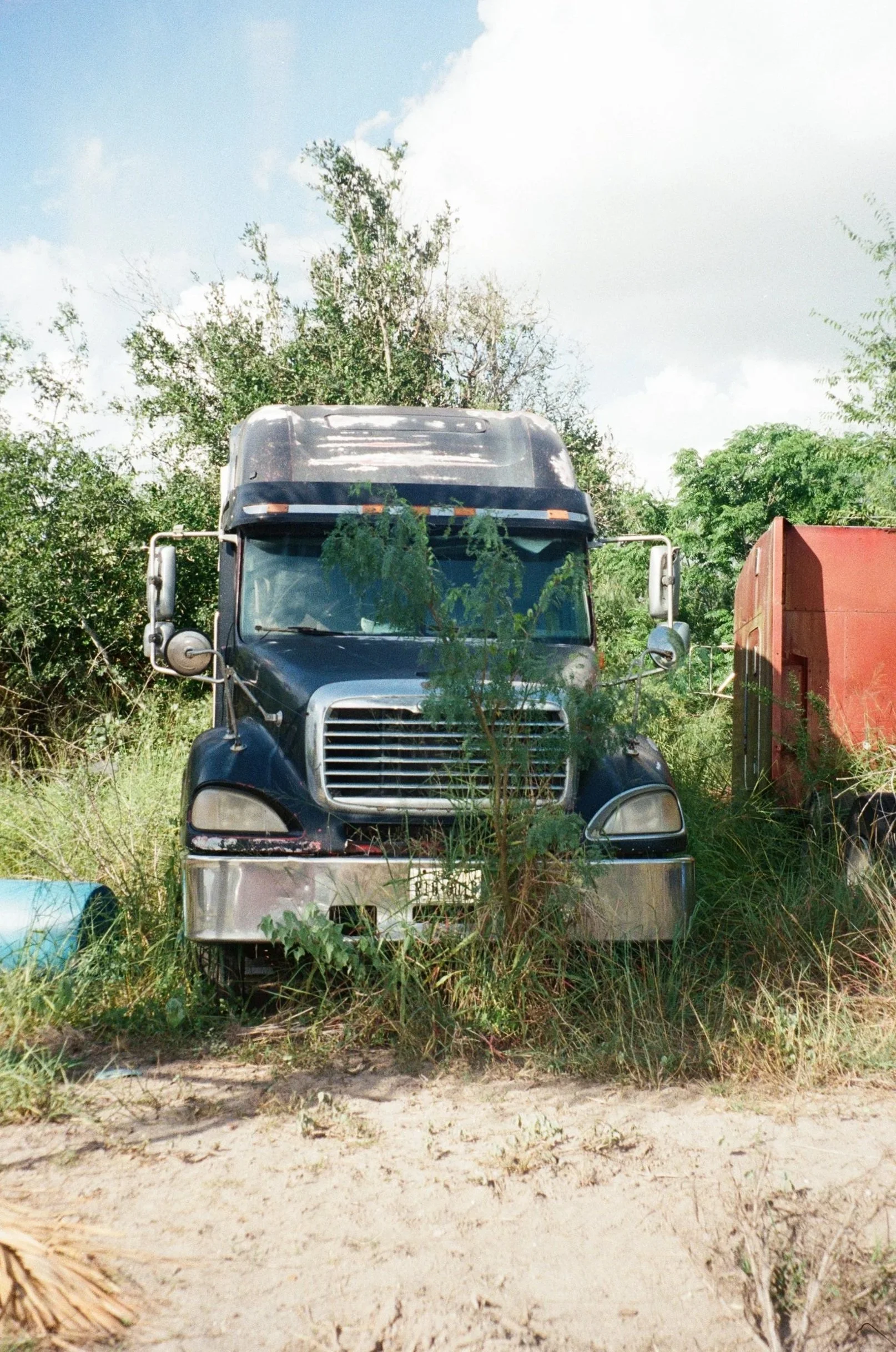 Taken on film in summer of 2025. 